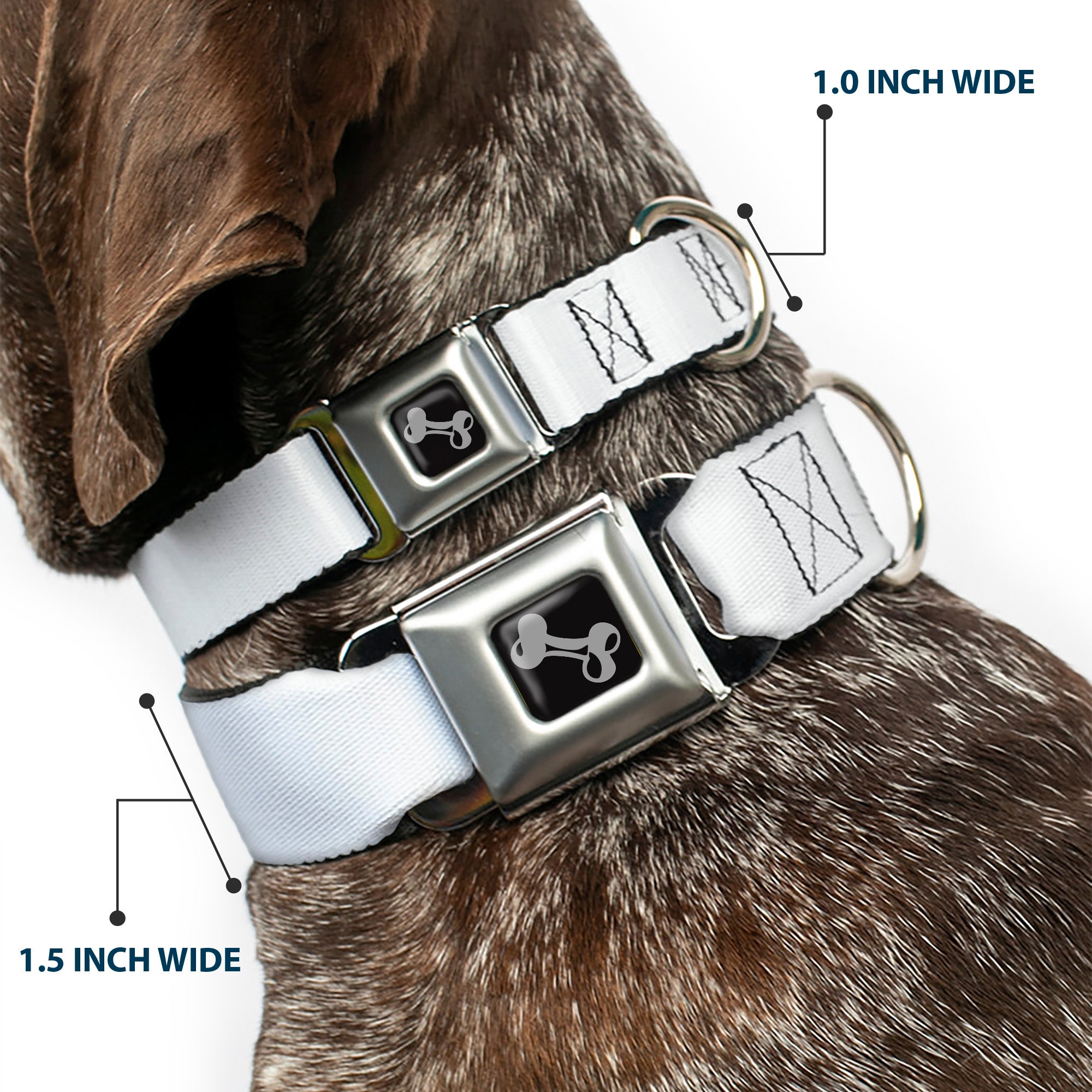 Dog Bone Seatbelt Buckle Collar - White Seatbelt Buckle Collars Buckle-Down