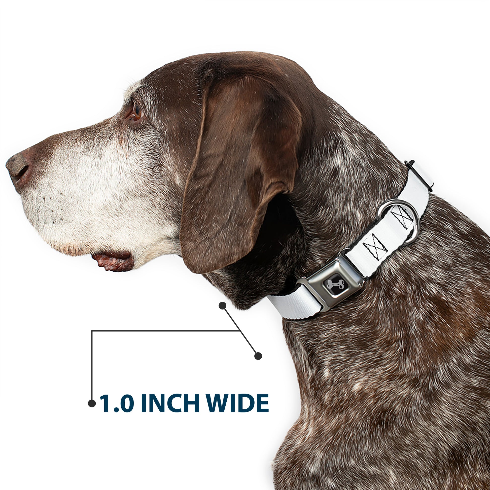 Dog Bone Seatbelt Buckle Collar - White Seatbelt Buckle Collars Buckle-Down