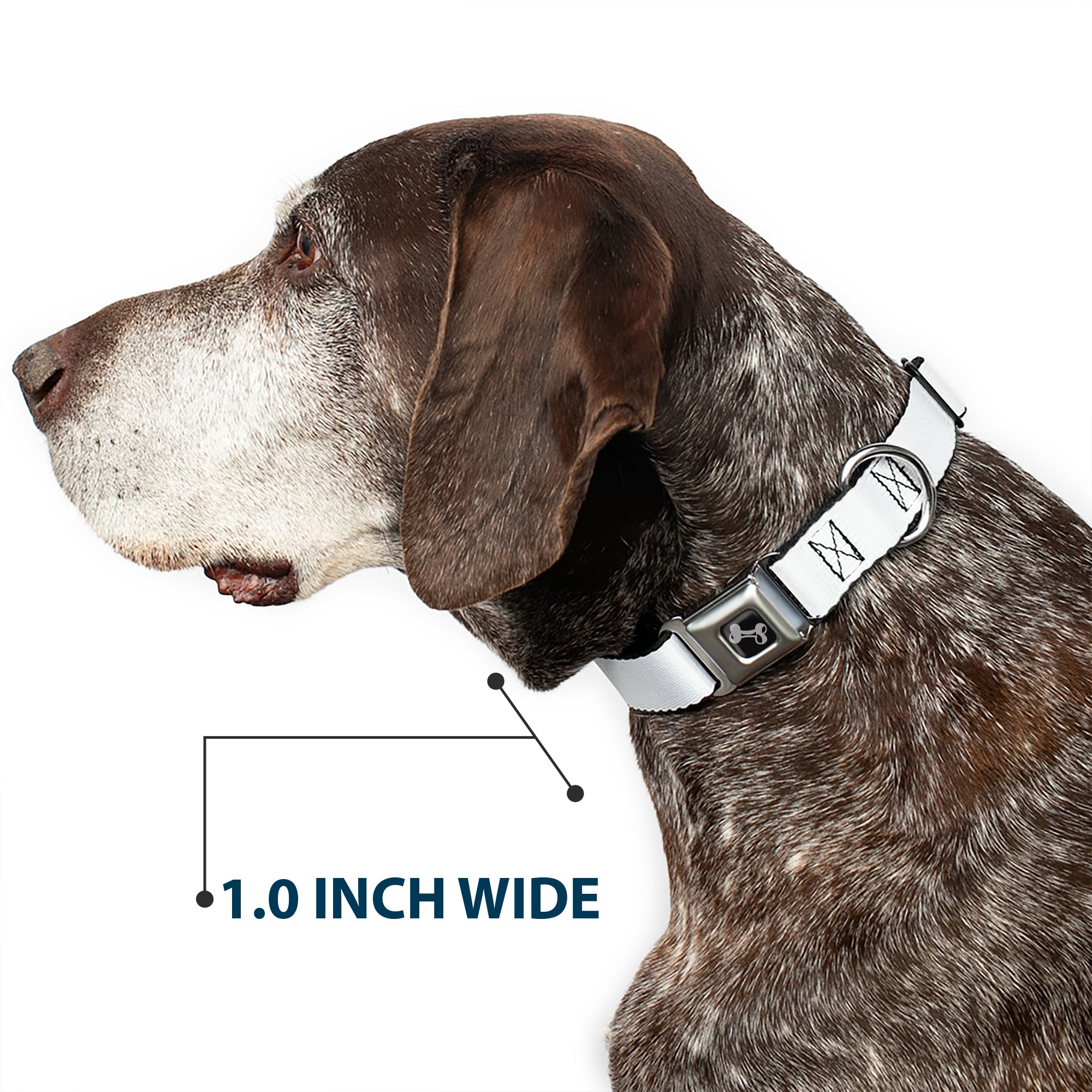 Dog Bone Seatbelt Buckle Collar - White Seatbelt Buckle Collars Buckle-Down