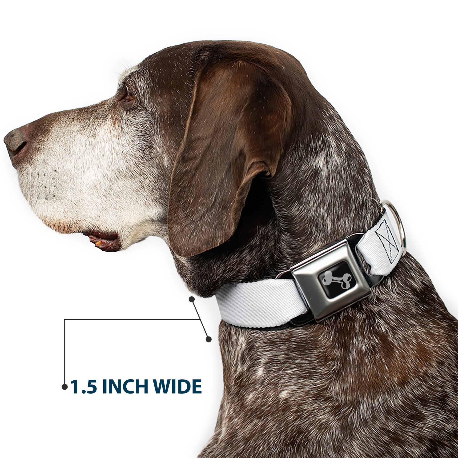Dog Bone Seatbelt Buckle Collar - White Seatbelt Buckle Collars Buckle-Down