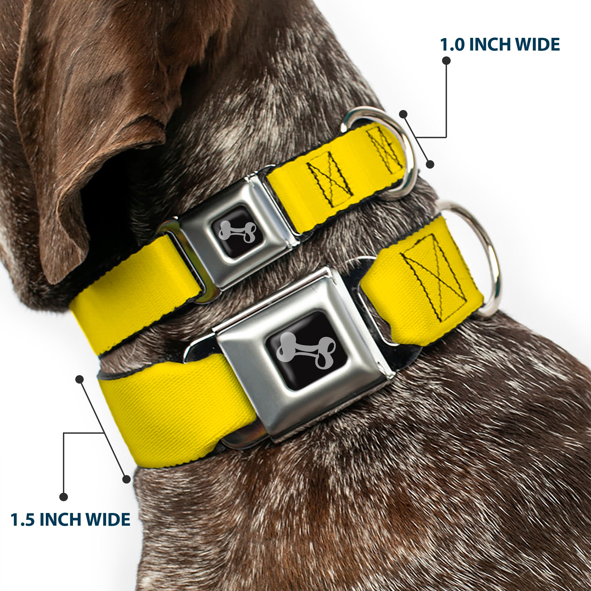 Dog Bone Seatbelt Buckle Collar - Yellow Seatbelt Buckle Collars Buckle-Down