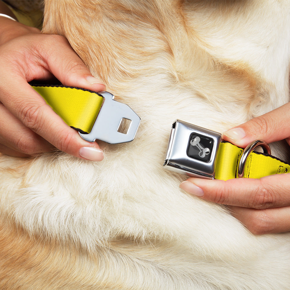 Dog Bone Seatbelt Buckle Collar - Yellow Seatbelt Buckle Collars Buckle-Down