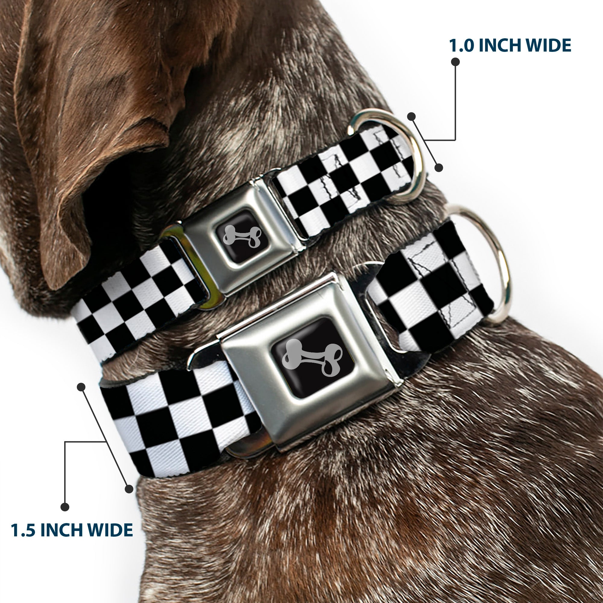 Black and White Checkered Dog Bone Seatbelt Buckle Collar Seatbelt Buckle Collars Buckle-Down