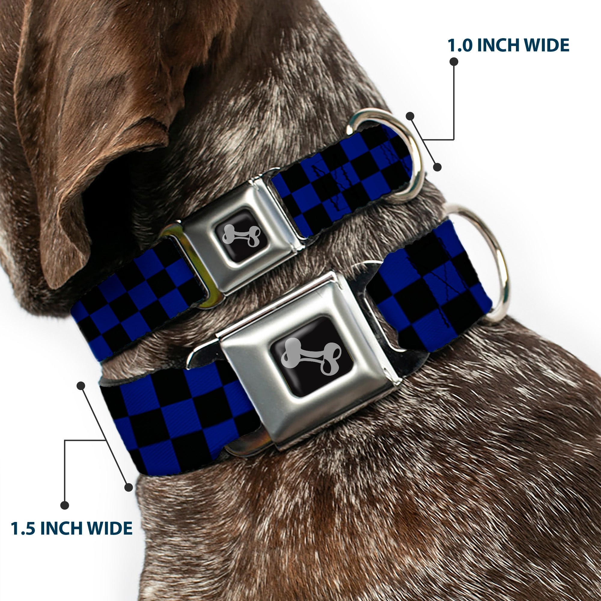 Dog Bone Seatbelt Buckle Collar - Checker Black/Blue Seatbelt Buckle Collars Buckle-Down