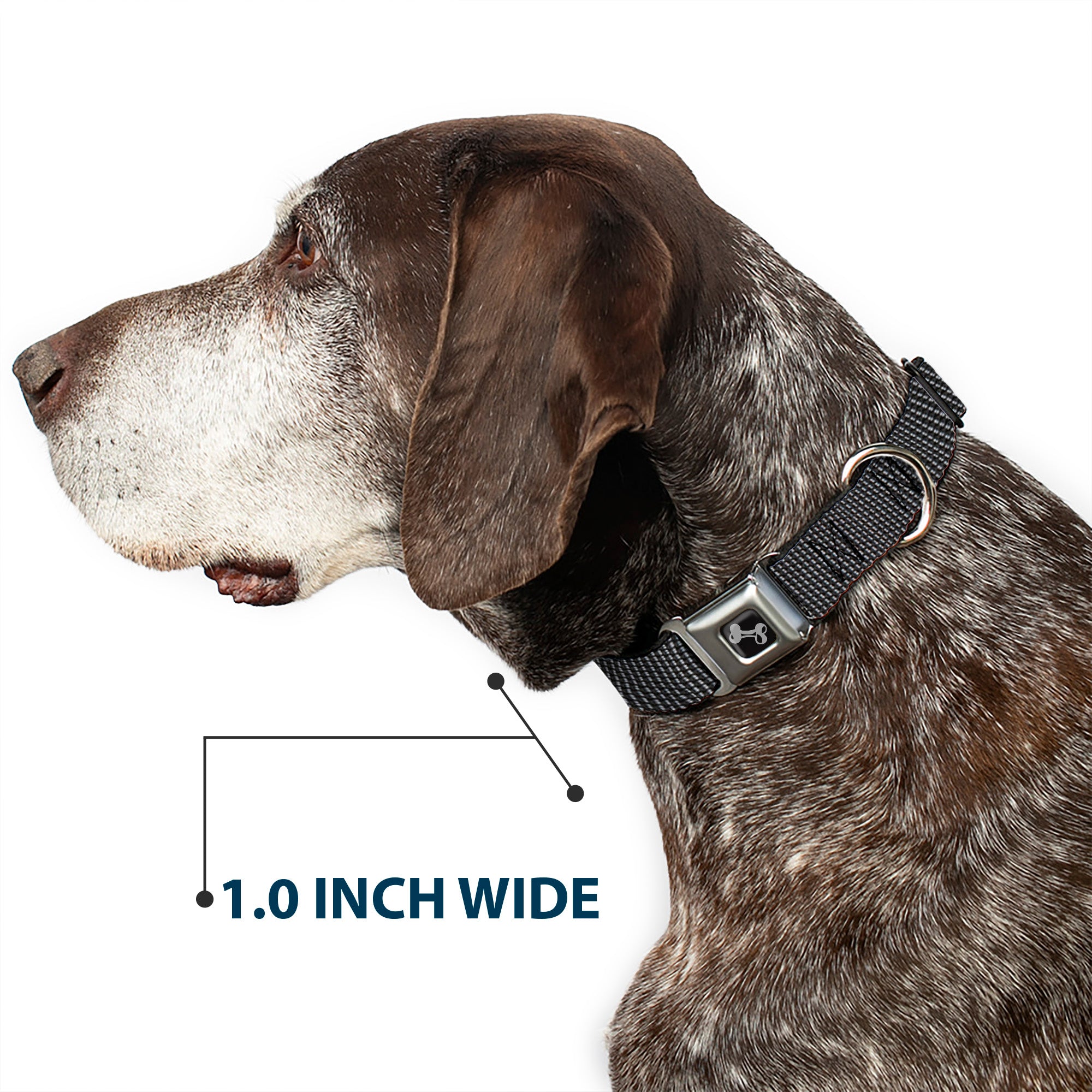 Dog Bone Seatbelt Buckle Collar - Dot Seatbelt Buckle Collars Buckle-Down