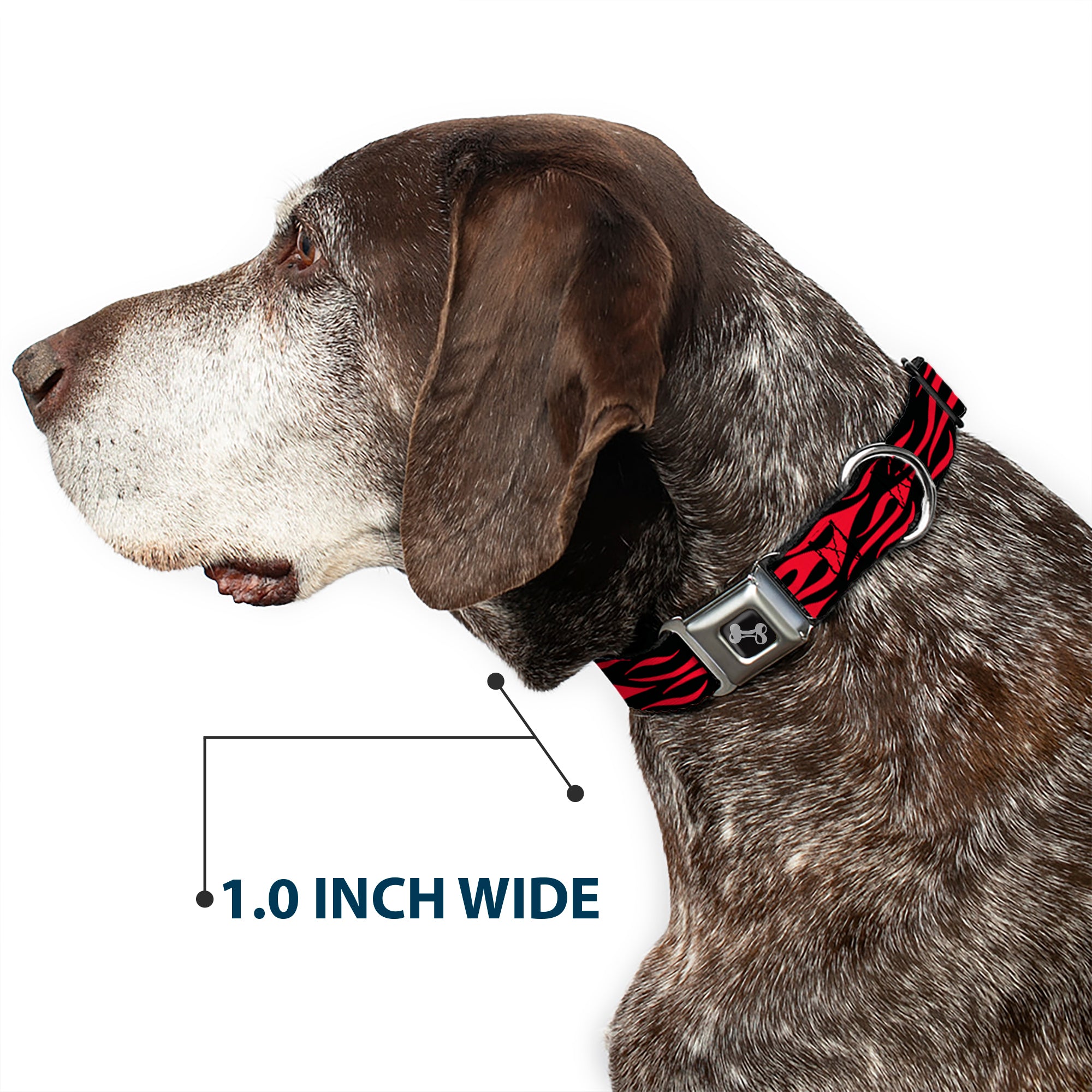 Dog Bone Seatbelt Buckle Collar - Flame Red Seatbelt Buckle Collars Buckle-Down