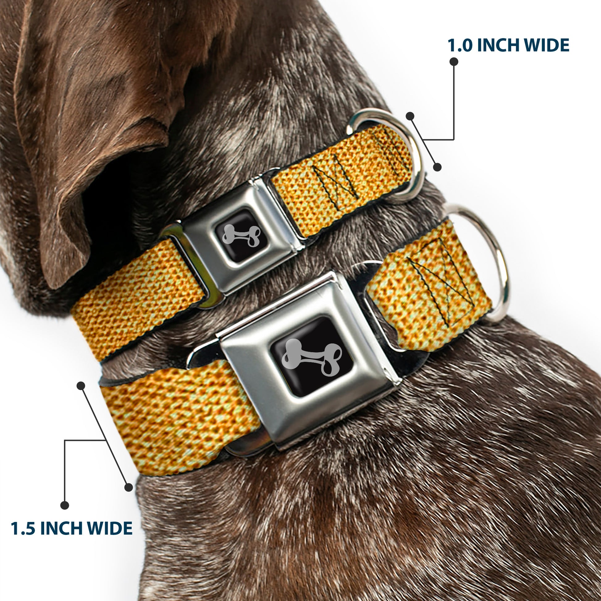 Dog Bone Black/Silver Seatbelt Buckle Collar - Metallic Gold Seatbelt Buckle Collars Buckle-Down