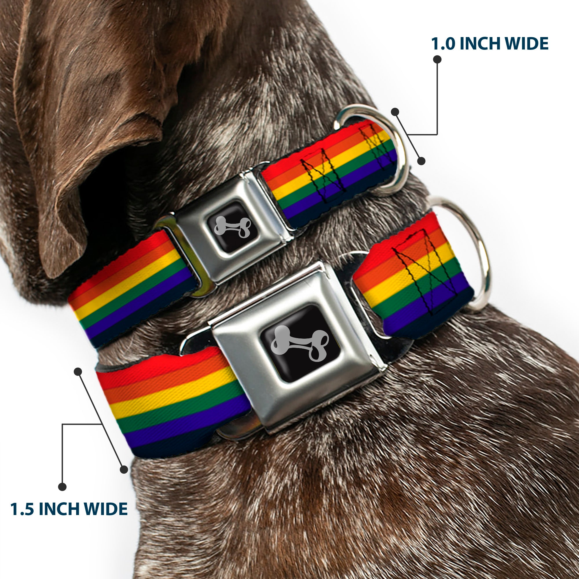 Dog Bone Seatbelt Buckle Collar - Rainbow Seatbelt Buckle Collars Buckle-Down