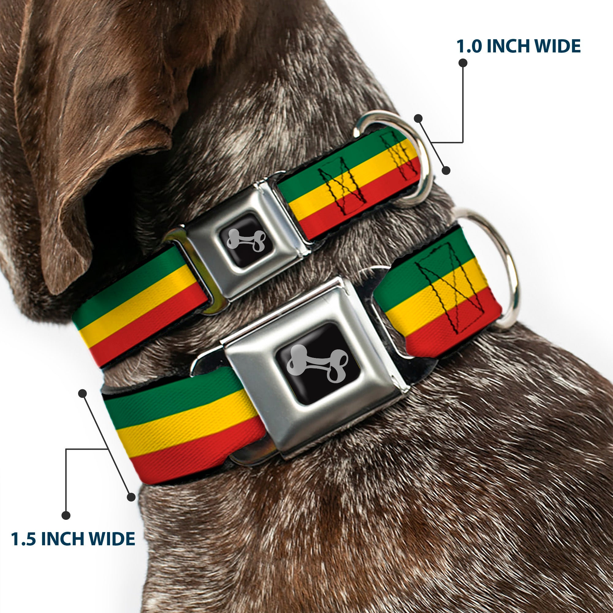 Dog Bone Seatbelt Buckle Collar - Rasta Seatbelt Buckle Collars Buckle-Down