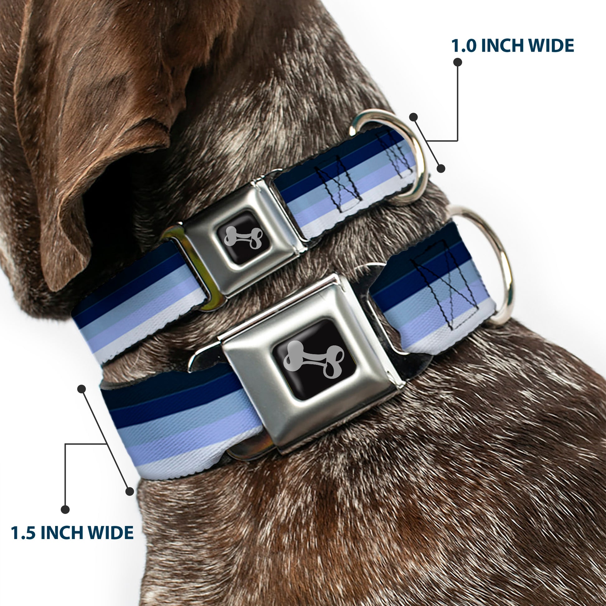 Dog Bone Seatbelt Buckle Collar - Spectrum Blue Seatbelt Buckle Collars Buckle-Down