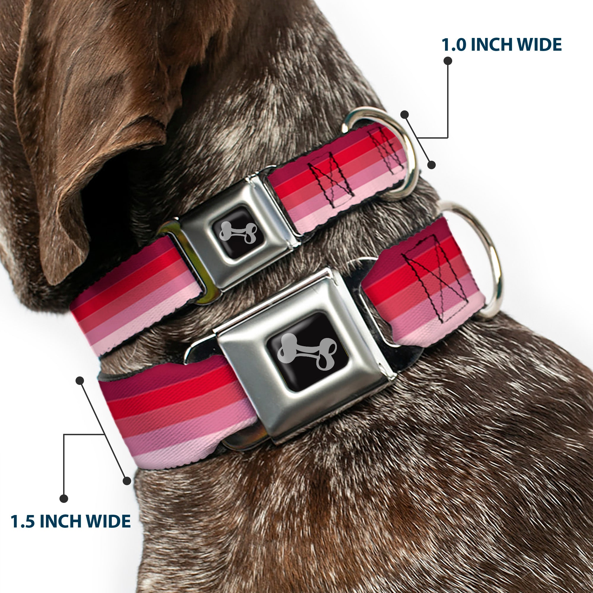 Dog Bone Seatbelt Buckle Collar - Spectrum Pink Seatbelt Buckle Collars Buckle-Down