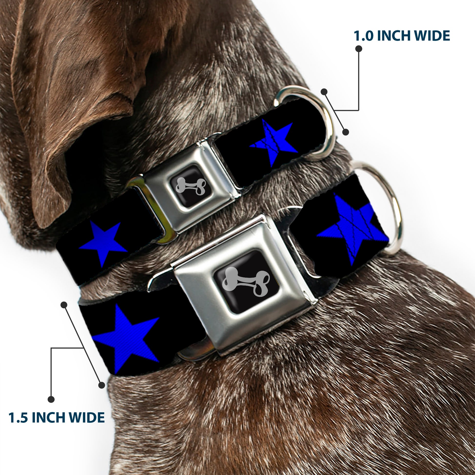Dog Bone Seatbelt Buckle Collar - Star Black/Blue Seatbelt Buckle Collars Buckle-Down