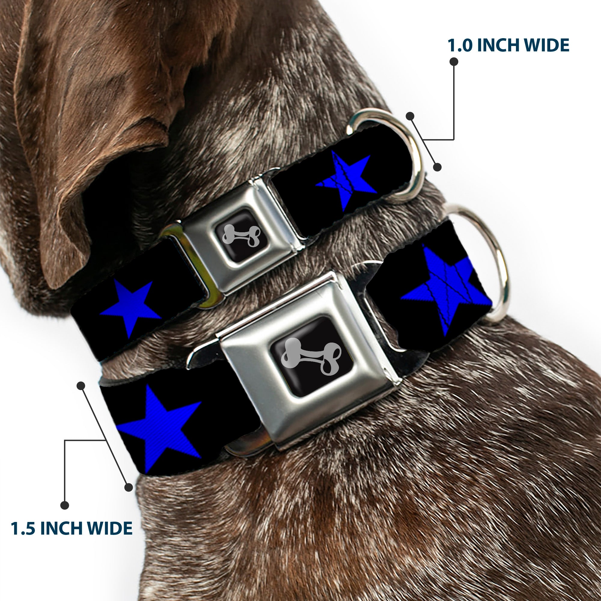 Dog Bone Seatbelt Buckle Collar - Star Black/Blue Seatbelt Buckle Collars Buckle-Down