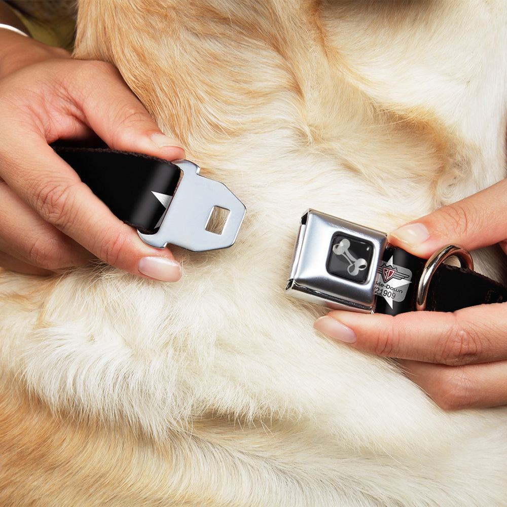 Dog Bone Seatbelt Buckle Collar - Star Black/White Seatbelt Buckle Collars Buckle-Down