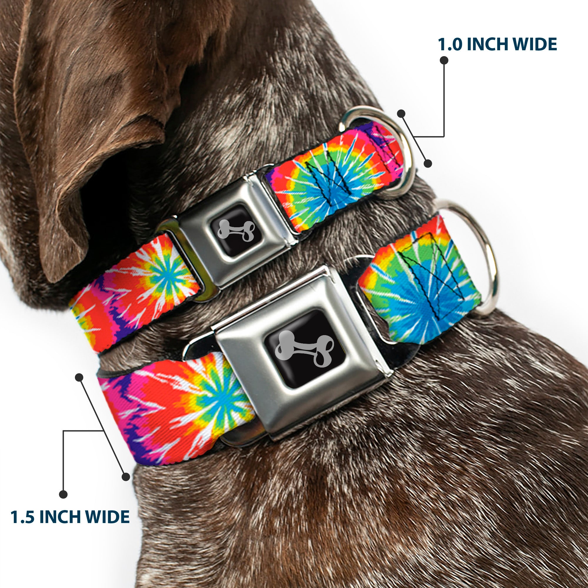 Dog Bone Seatbelt Buckle Collar - 70's Tie Dye Seatbelt Buckle Collars Buckle-Down