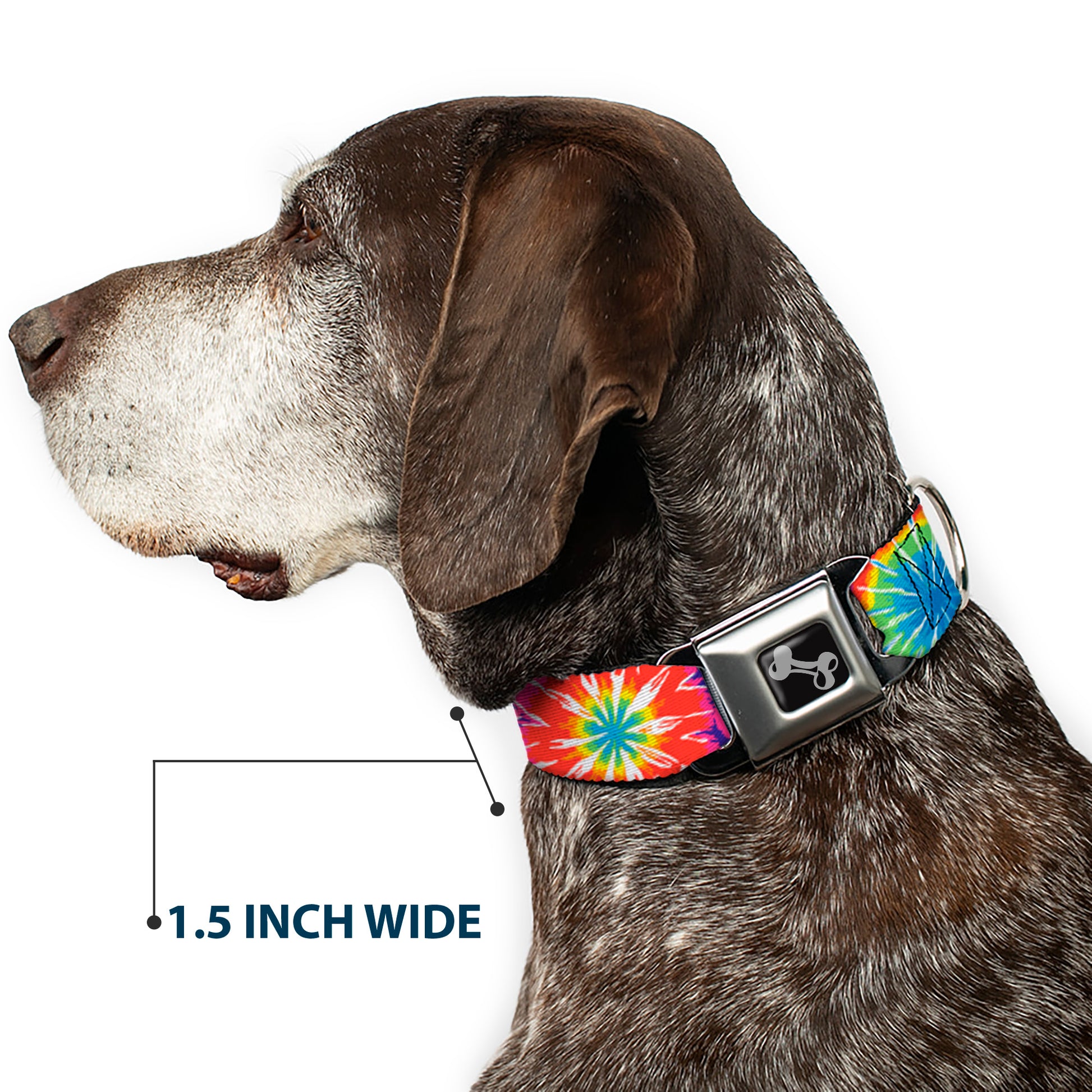Dog Bone Seatbelt Buckle Collar - 70's Tie Dye Seatbelt Buckle Collars Buckle-Down