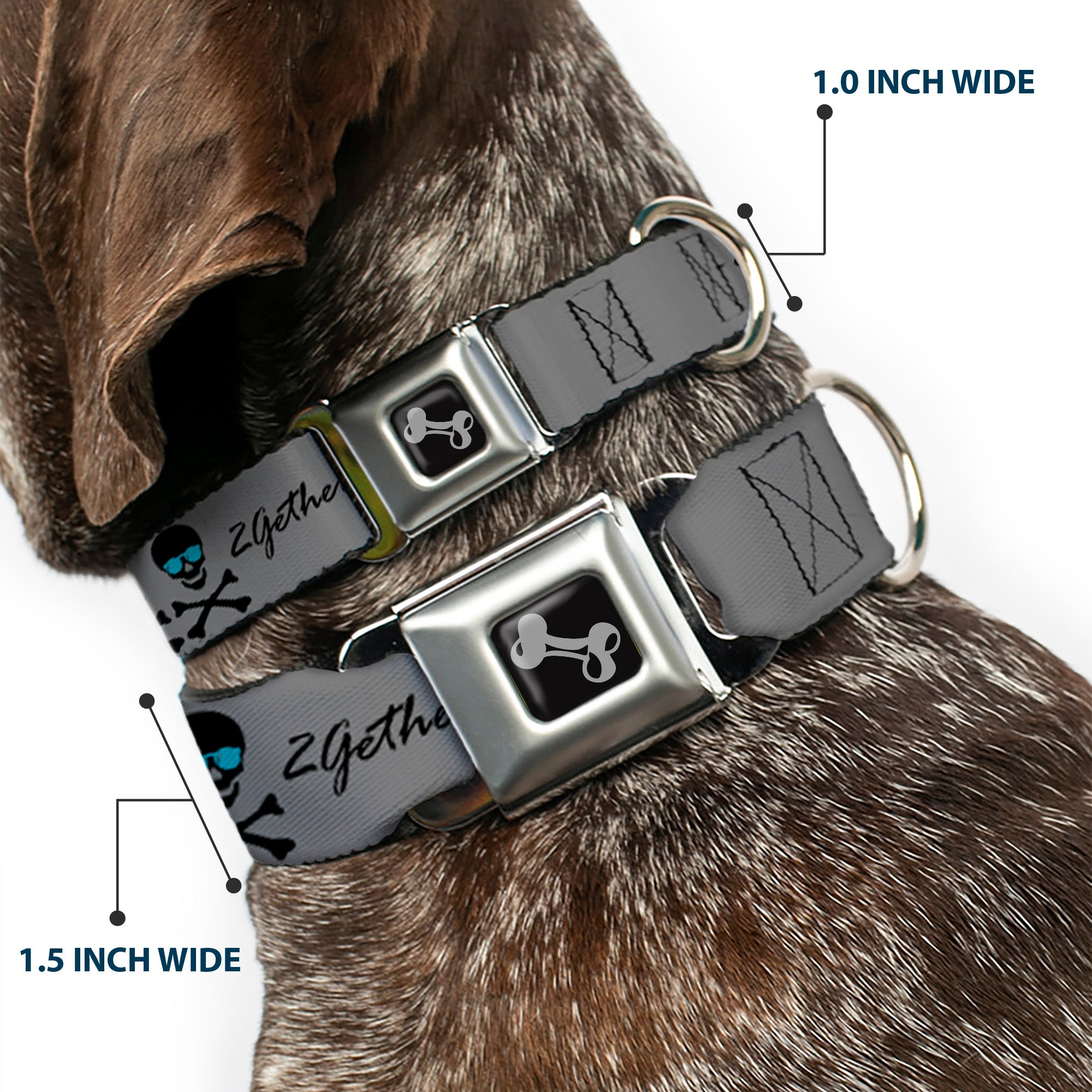 Dog Bone Seatbelt Buckle Collar - 2gether 4ever Skulls Seatbelt Buckle Collars Buckle-Down