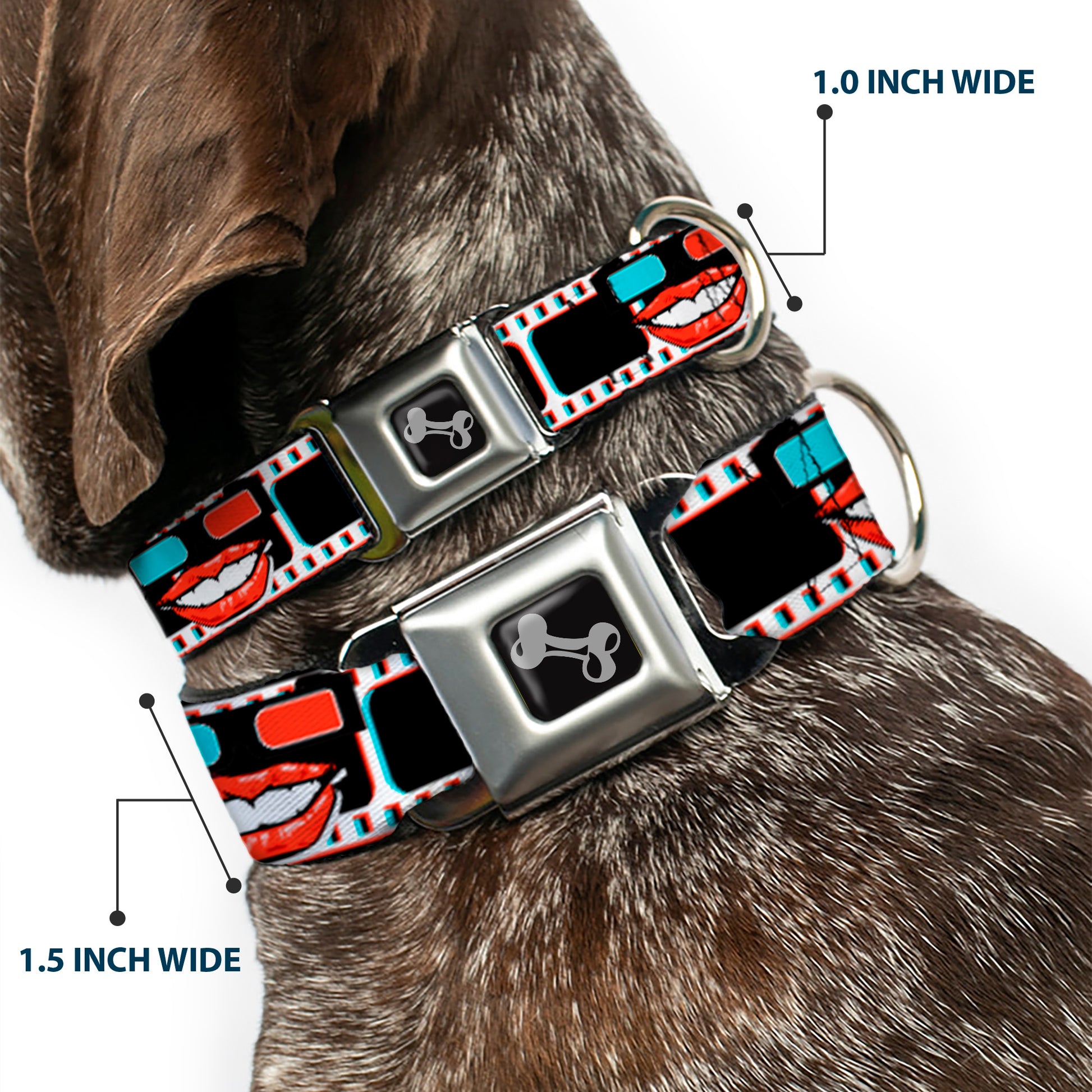 Dog Bone Seatbelt Buckle Collar - 3-D Filmstrip Seatbelt Buckle Collars Buckle-Down