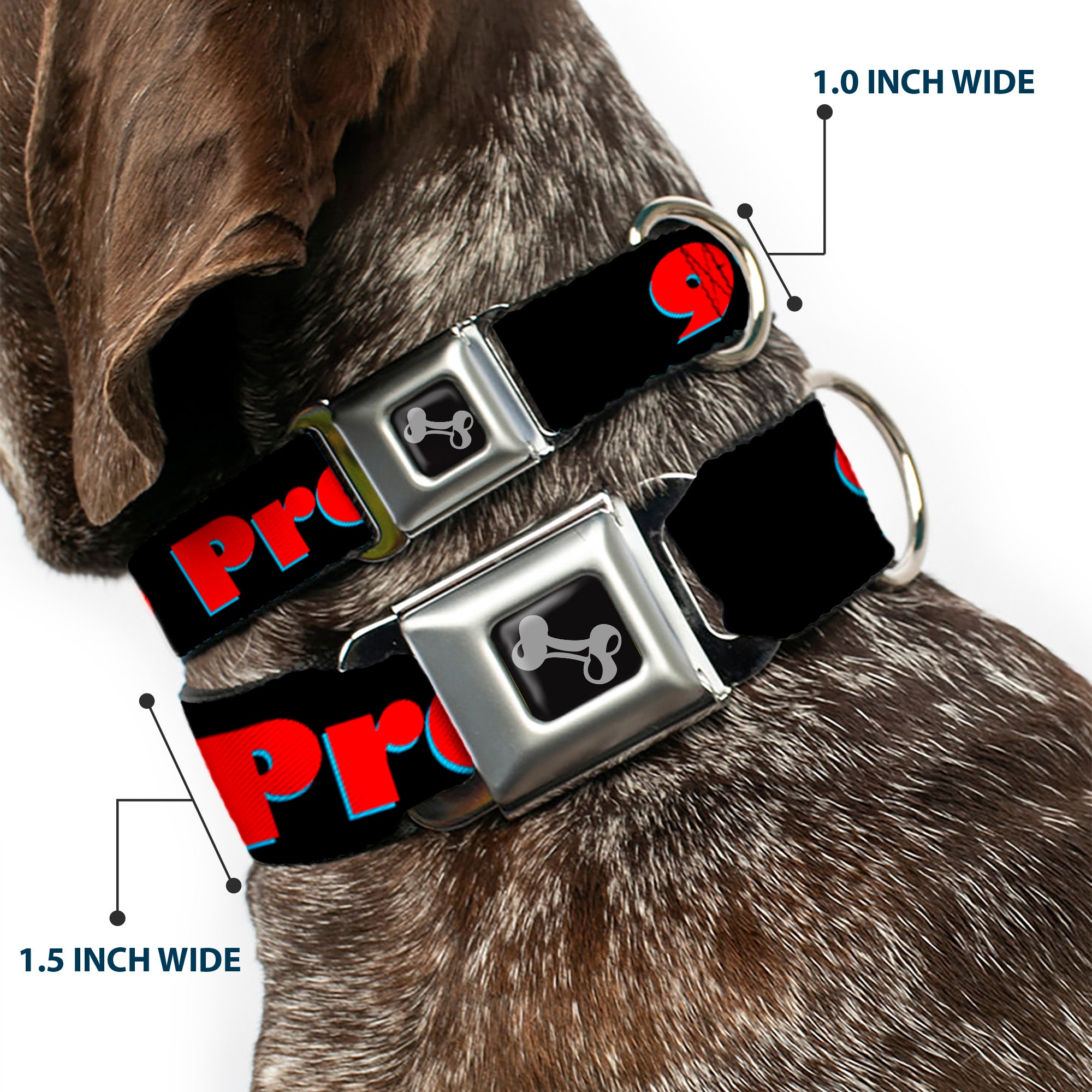 Buckle-Down Seatbelt Buckle Dog Collar - 99 PROBLEMS Black/Red Seatbelt Buckle Collars Buckle-Down