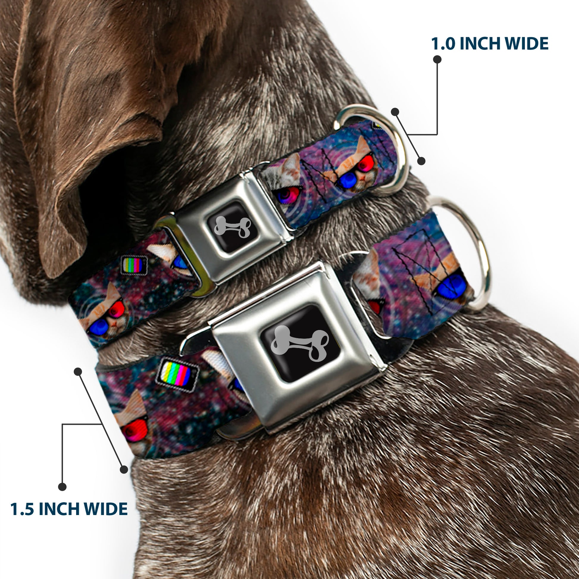 Dog Bone Seatbelt Buckle Collar - 3-D TV Cats in Space Seatbelt Buckle Collars Buckle-Down