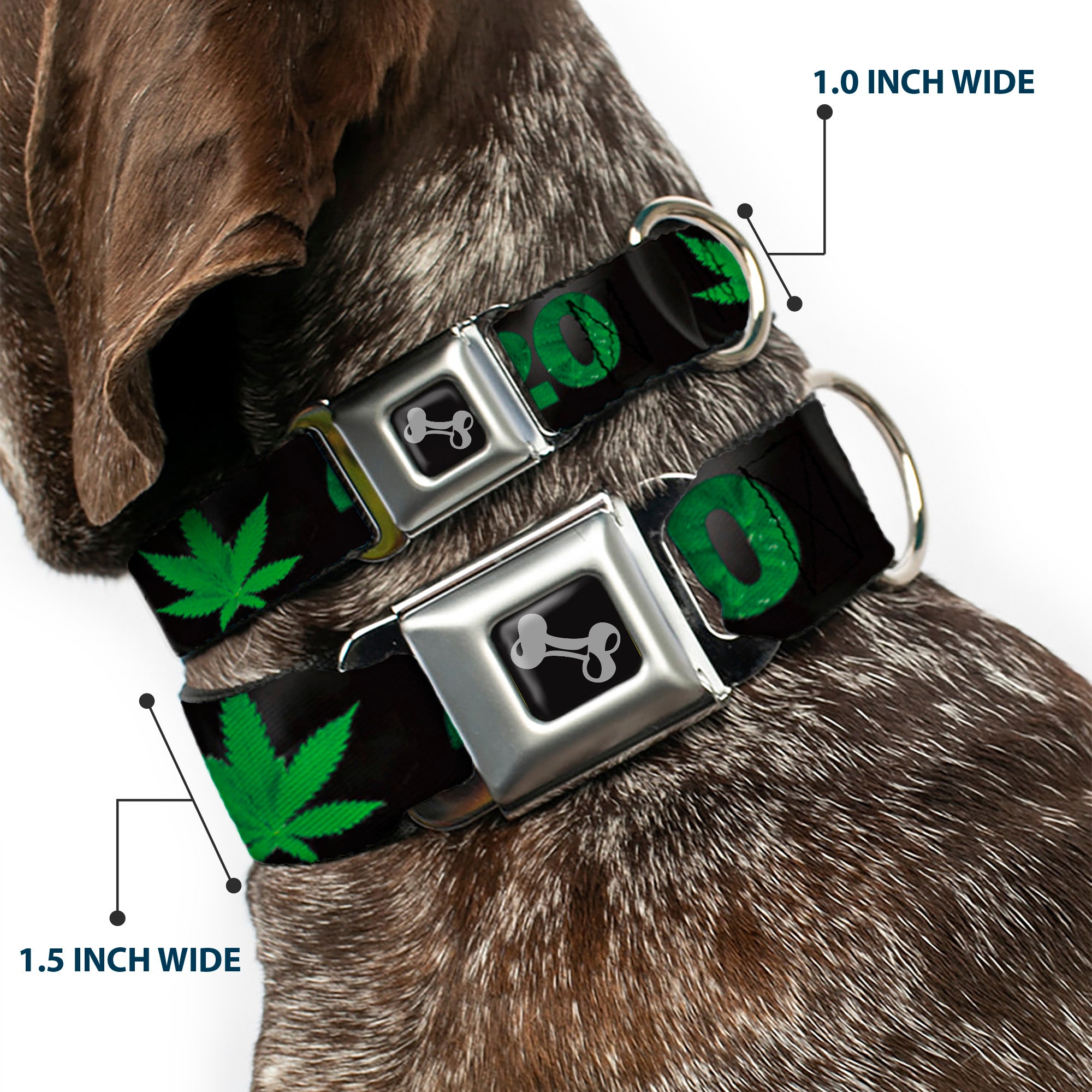 Buckle-Down Seatbelt Buckle Dog Collar - 420/Pot Leaf Black/Smoke/Green Seatbelt Buckle Collars Buckle-Down