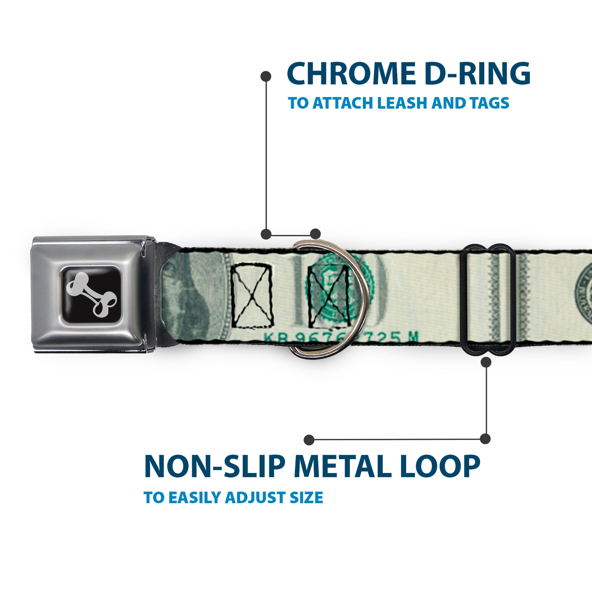 Dog Bone Seatbelt Buckle Collar - 100 Dollar Bill CLOSE-UP Seatbelt Buckle Collars Buckle-Down
