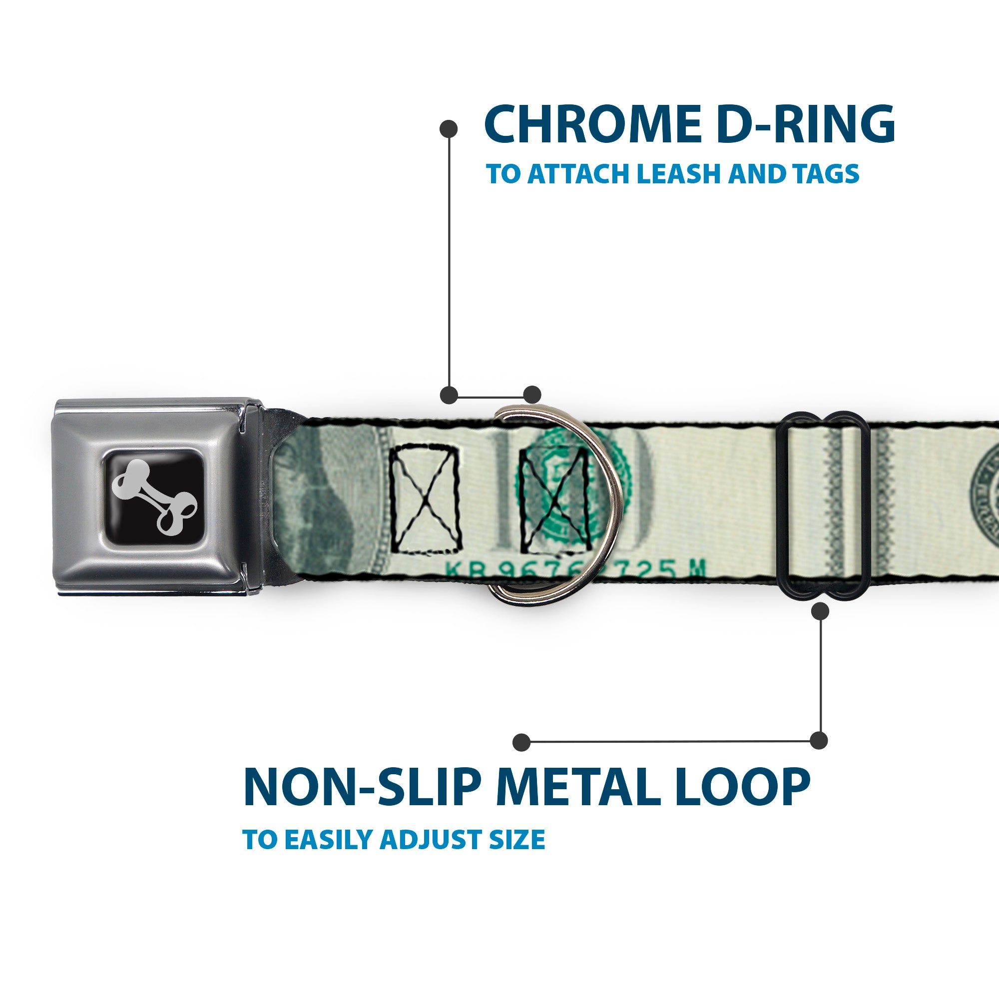 Dog Bone Seatbelt Buckle Collar - 100 Dollar Bill CLOSE-UP Seatbelt Buckle Collars Buckle-Down