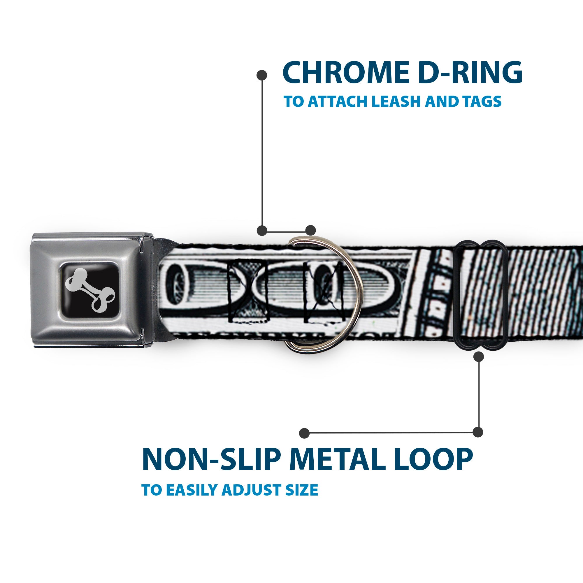 Dog Bone Seatbelt Buckle Collar - 100 Dollar Bill CLOSE-UP White/Black Seatbelt Buckle Collars Buckle-Down