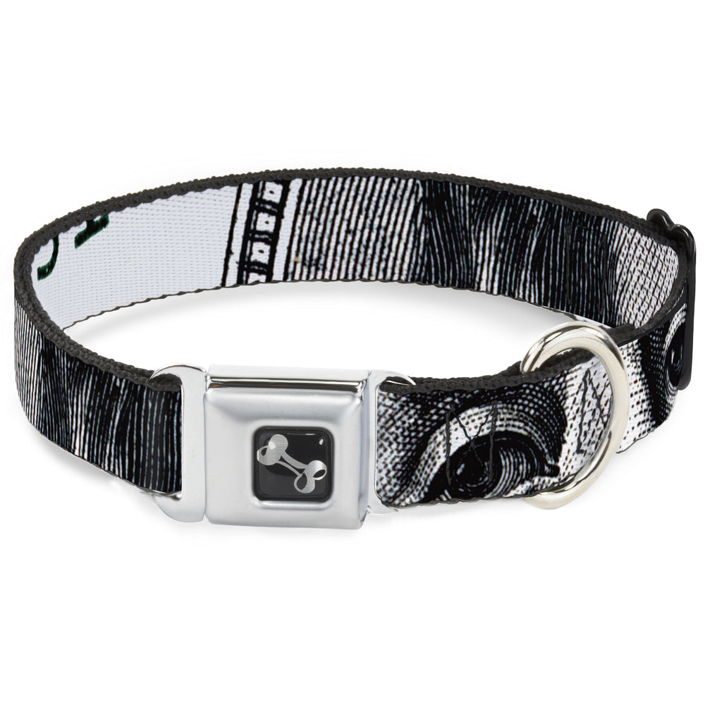 Dog Bone Seatbelt Buckle Collar - 100 Dollar Bill CLOSE-UP White/Black Seatbelt Buckle Collars Buckle-Down
