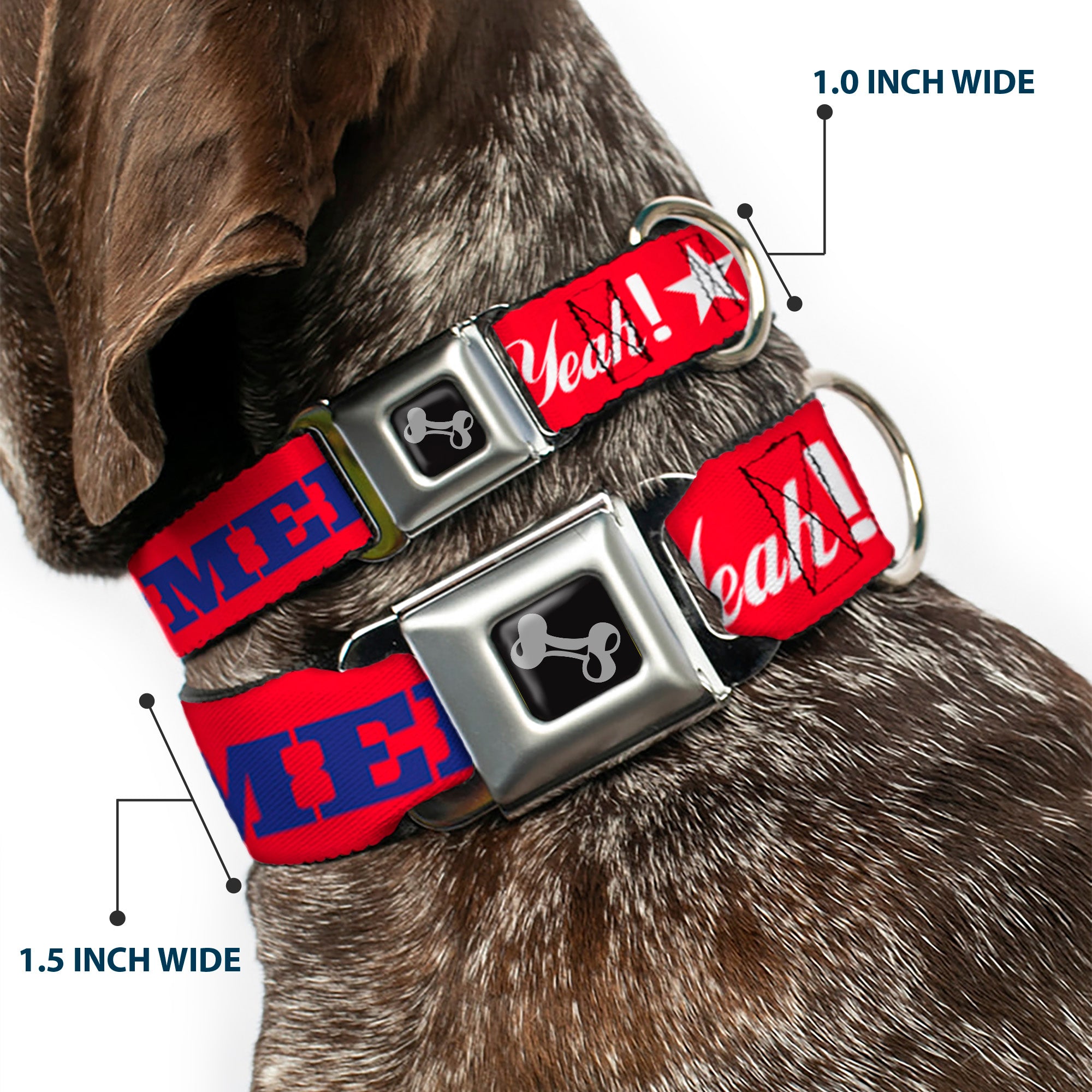 Dog Bone Seatbelt Buckle Collar - 'MERICA FUCK YEAH!/Star Red/Blue/White Seatbelt Buckle Collars Buckle-Down