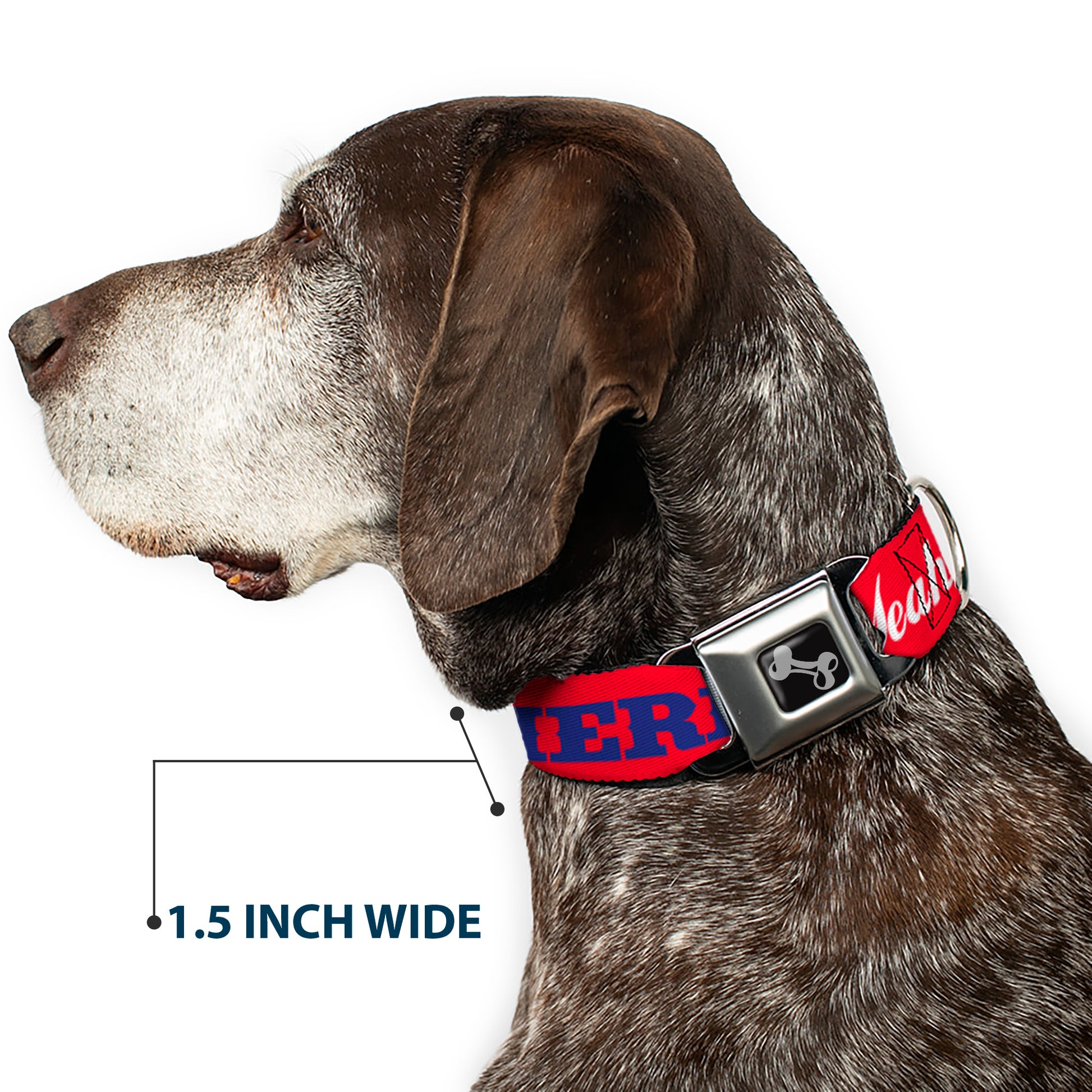 Dog Bone Seatbelt Buckle Collar - 'MERICA FUCK YEAH!/Star Red/Blue/White Seatbelt Buckle Collars Buckle-Down