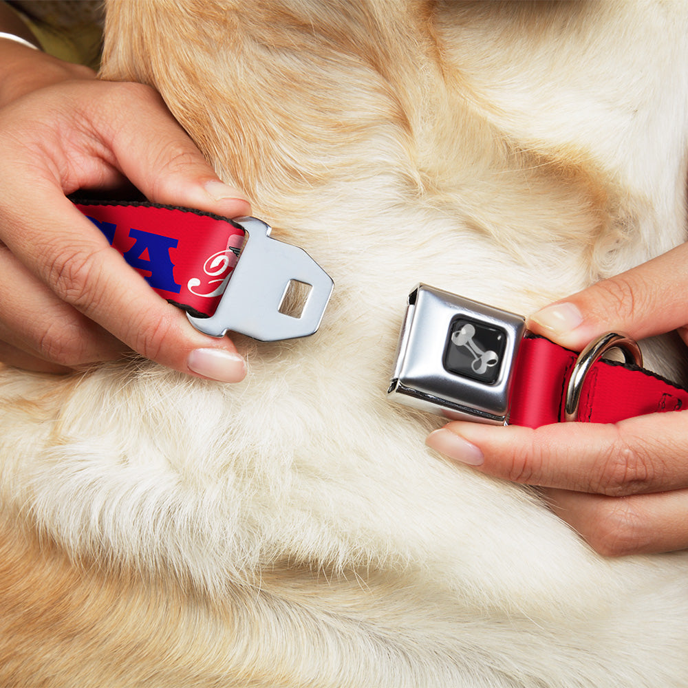 Dog Bone Seatbelt Buckle Collar - 'MERICA FUCK YEAH!/Star Red/Blue/White Seatbelt Buckle Collars Buckle-Down