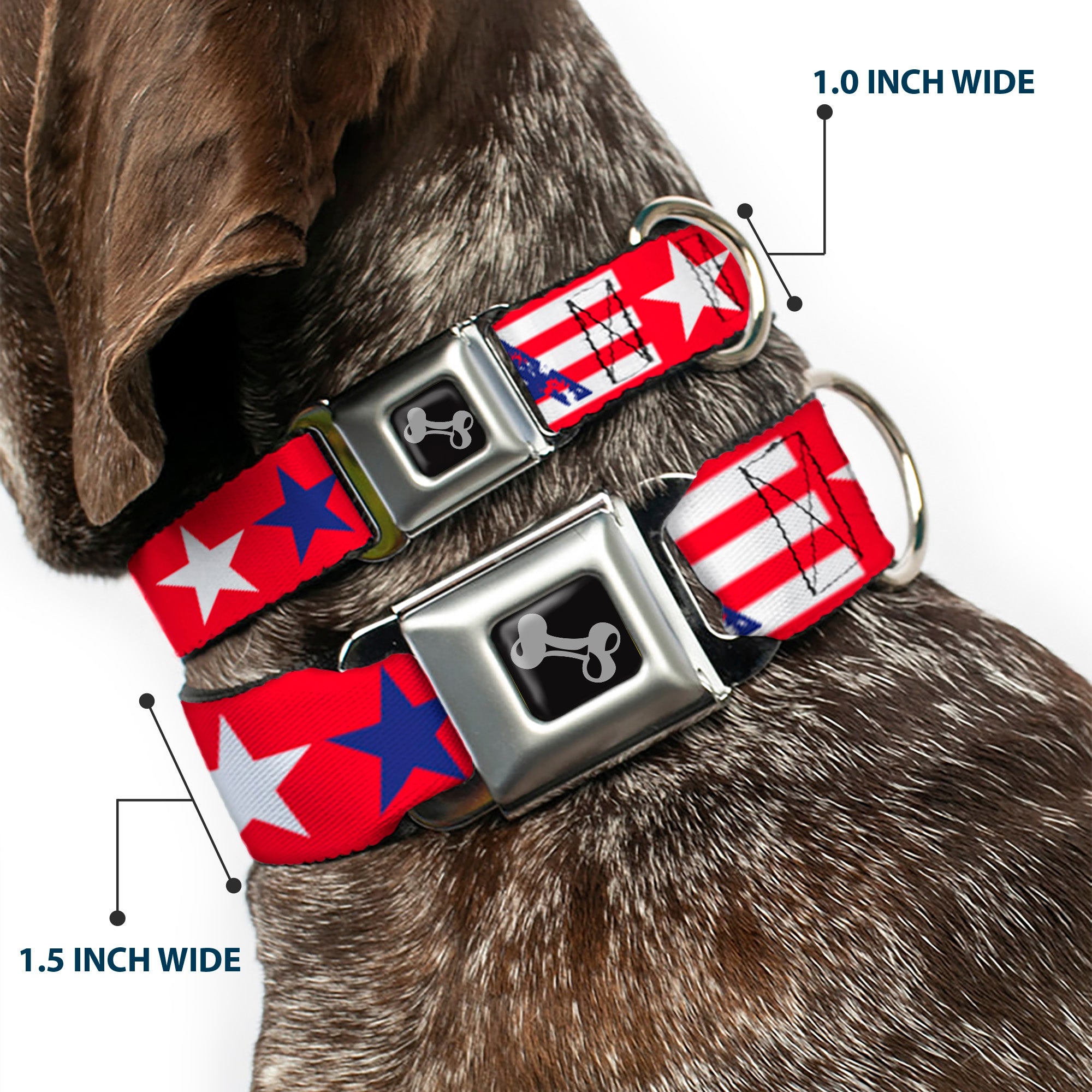 Dog Bone Seatbelt Buckle Collar - 'MERICA Stripes/Stars Red/White/Blue Seatbelt Buckle Collars Buckle-Down