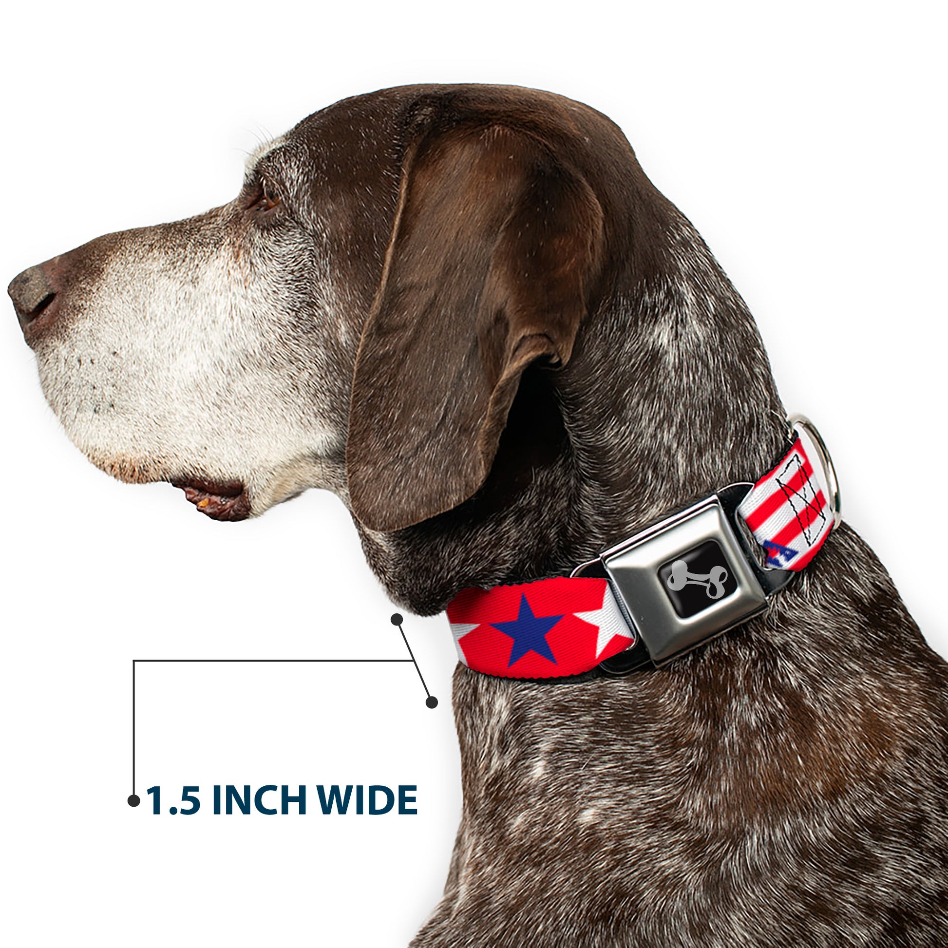 Dog Bone Seatbelt Buckle Collar - 'MERICA Stripes/Stars Red/White/Blue Seatbelt Buckle Collars Buckle-Down