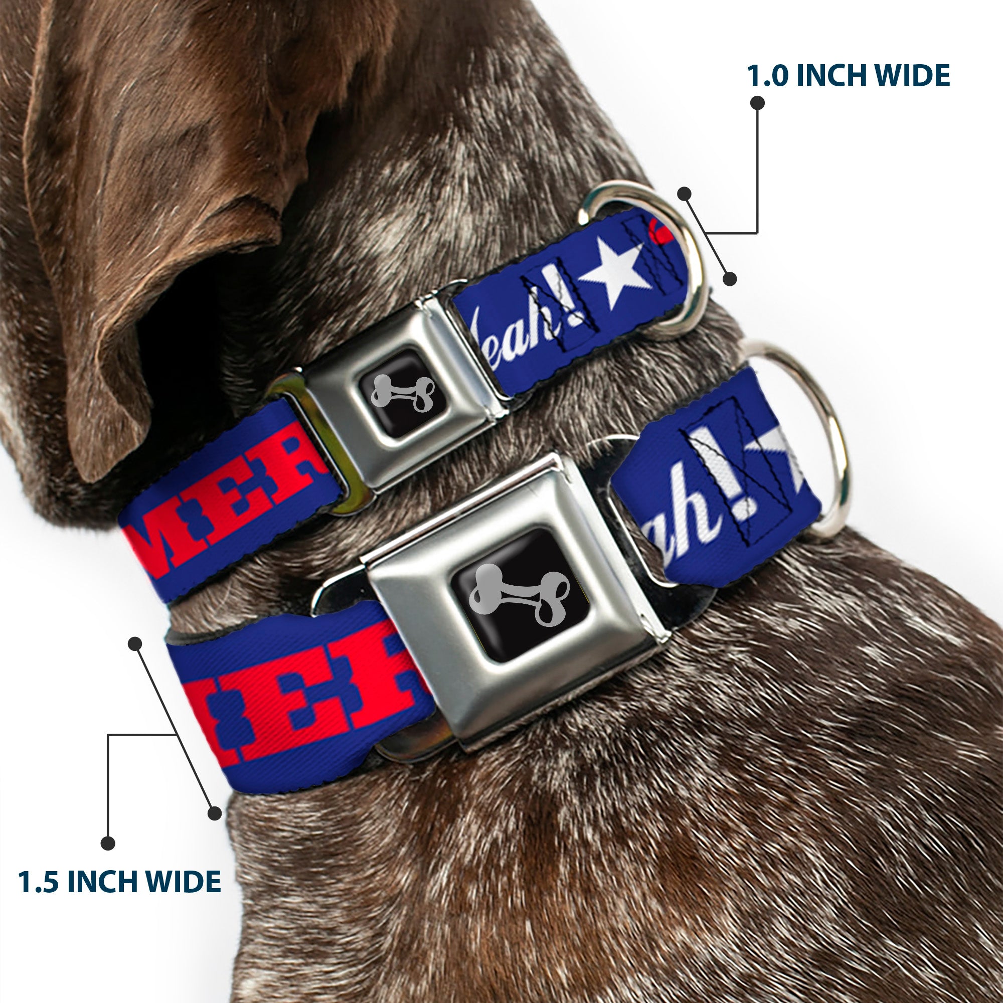 Dog Bone Seatbelt Buckle Collar - 'MERICA FUCK YEAH!/Star Blue/Red/White Seatbelt Buckle Collars Buckle-Down