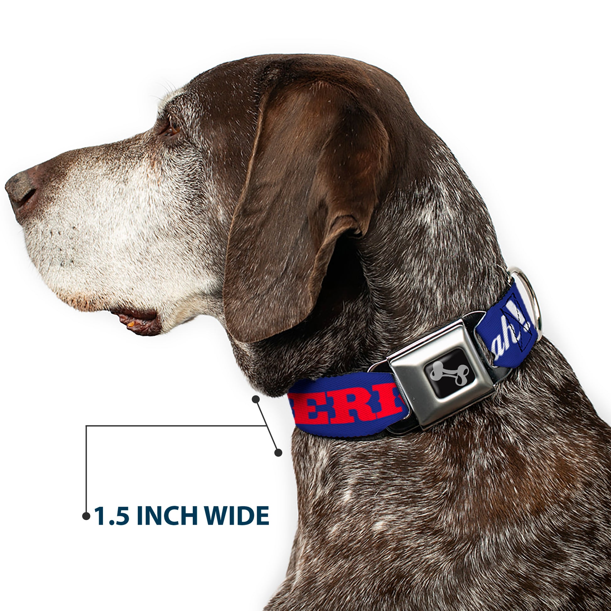 Dog Bone Seatbelt Buckle Collar - 'MERICA FUCK YEAH!/Star Blue/Red/White Seatbelt Buckle Collars Buckle-Down