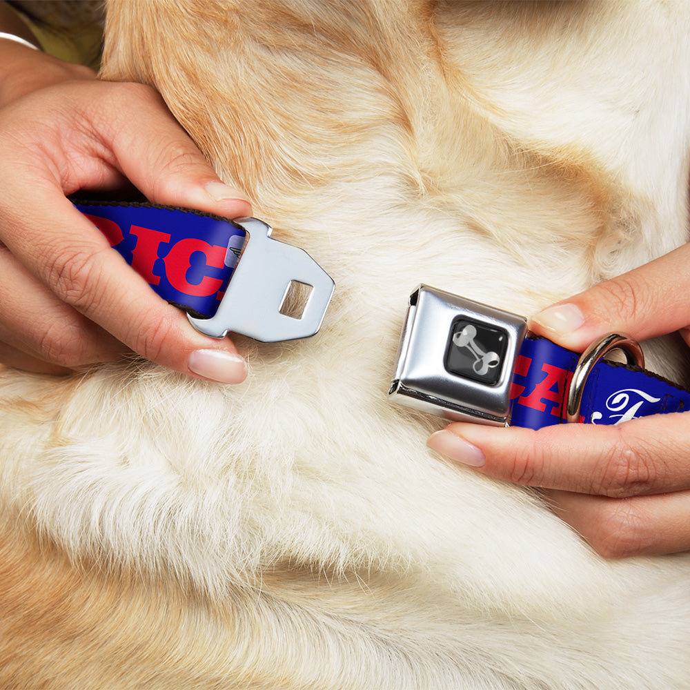 Dog Bone Seatbelt Buckle Collar - 'MERICA FUCK YEAH!/Star Blue/Red/White Seatbelt Buckle Collars Buckle-Down