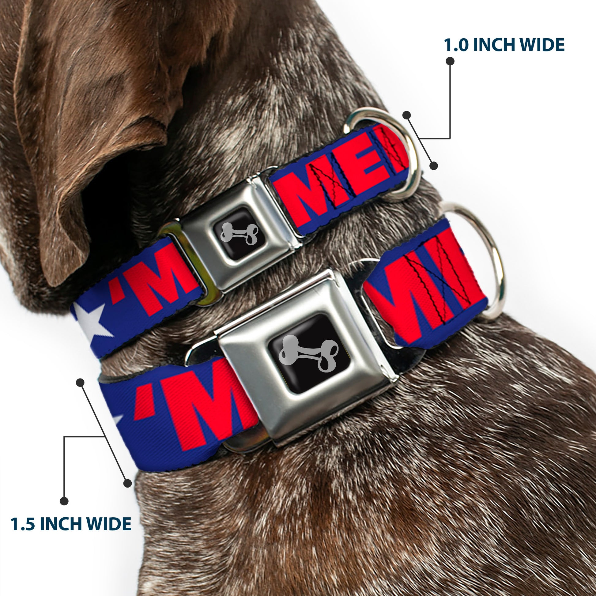 Dog Bone Seatbelt Buckle Collar - 'MERICA/Star Blue/Red/White Seatbelt Buckle Collars Buckle-Down