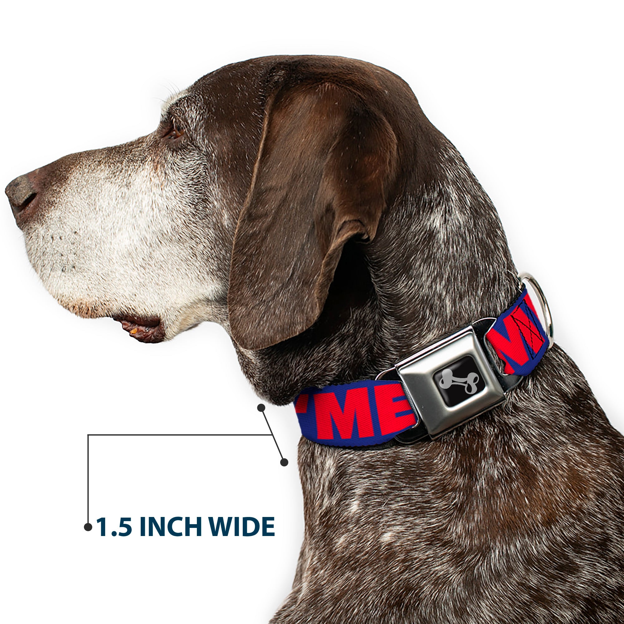 Dog Bone Seatbelt Buckle Collar - 'MERICA/Star Blue/Red/White Seatbelt Buckle Collars Buckle-Down