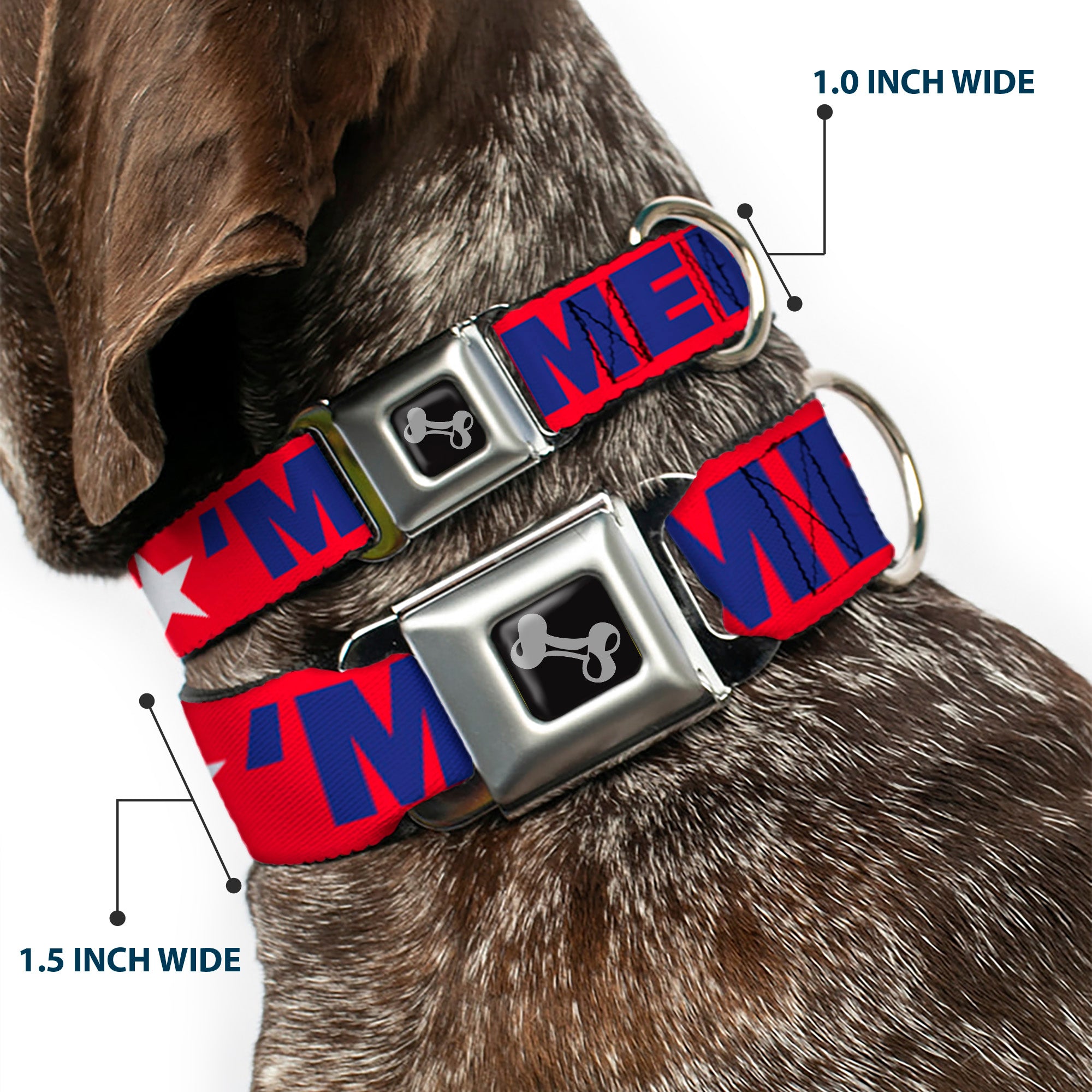 Dog Bone Seatbelt Buckle Collar - 'MERICA/Star Red/Blue/White Seatbelt Buckle Collars Buckle-Down