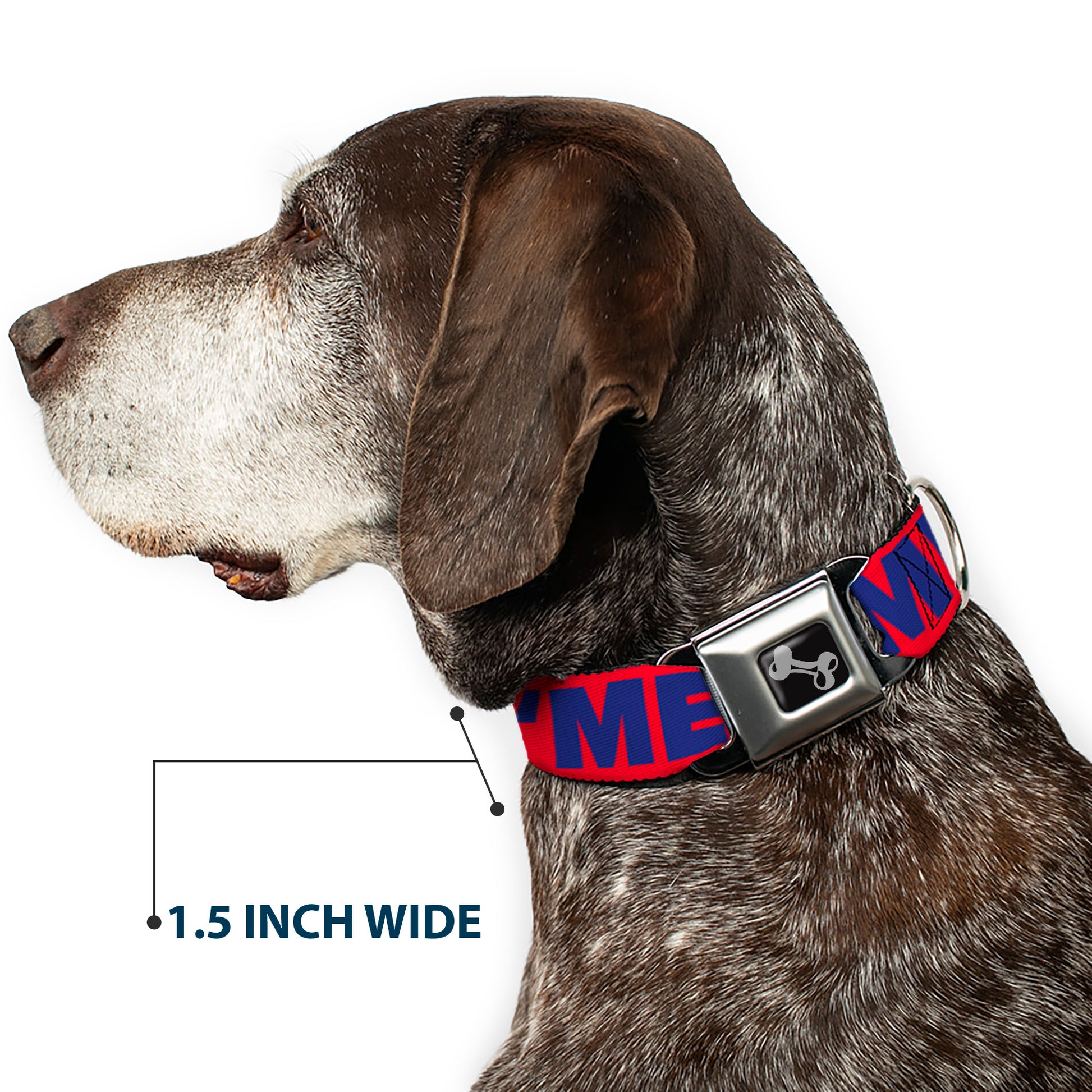 Dog Bone Seatbelt Buckle Collar - 'MERICA/Star Red/Blue/White Seatbelt Buckle Collars Buckle-Down
