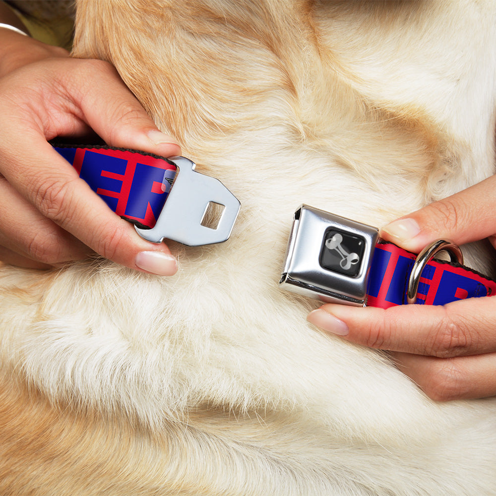 Dog Bone Seatbelt Buckle Collar - 'MERICA/Star Red/Blue/White Seatbelt Buckle Collars Buckle-Down