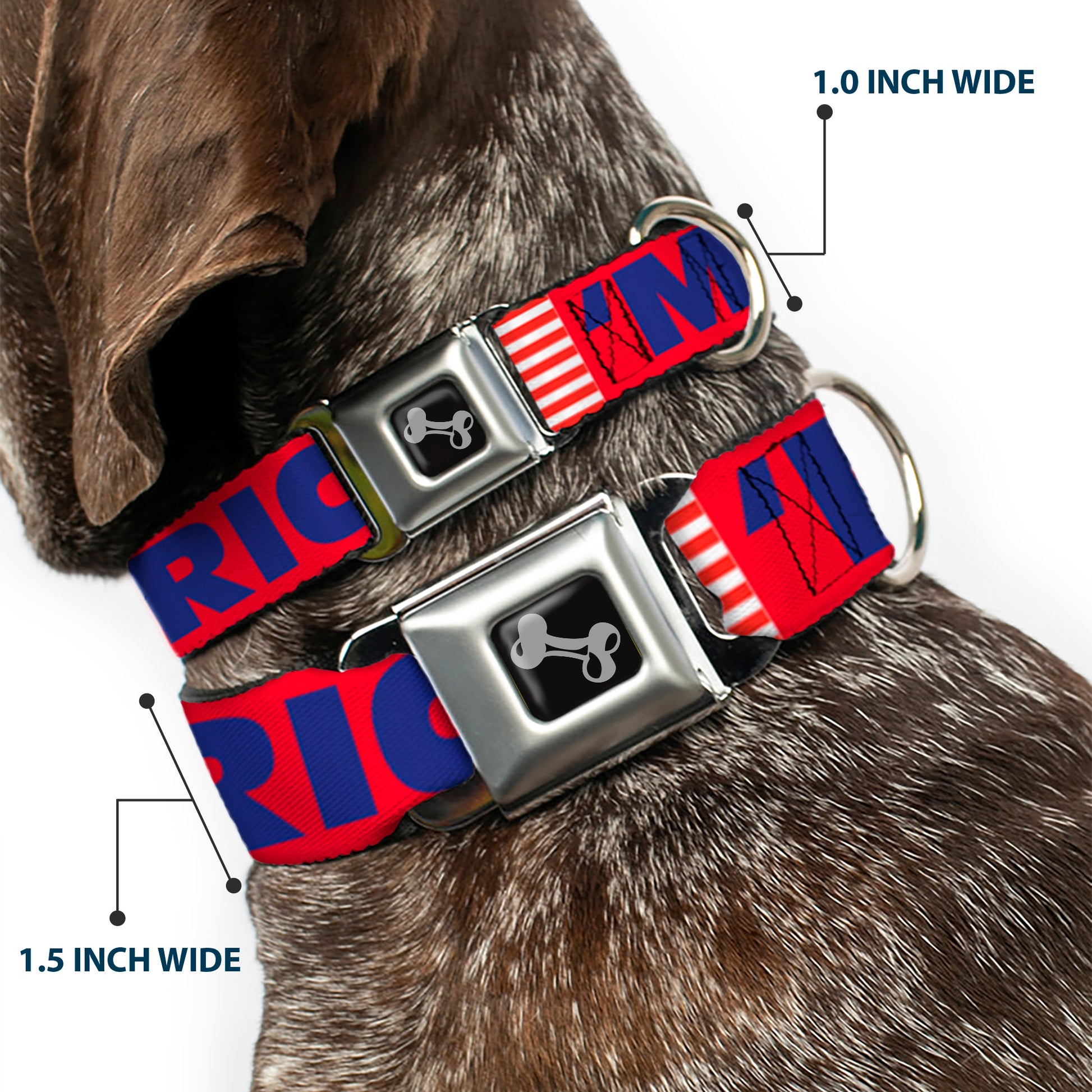 Dog Bone Seatbelt Buckle Collar - 'MERICA/US Flag Red/Blue/White Seatbelt Buckle Collars Buckle-Down