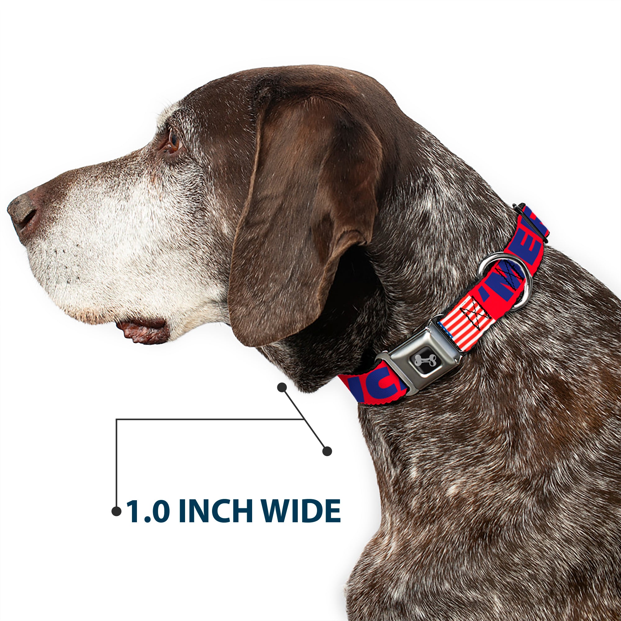Dog Bone Seatbelt Buckle Collar - 'MERICA/US Flag Red/Blue/White Seatbelt Buckle Collars Buckle-Down