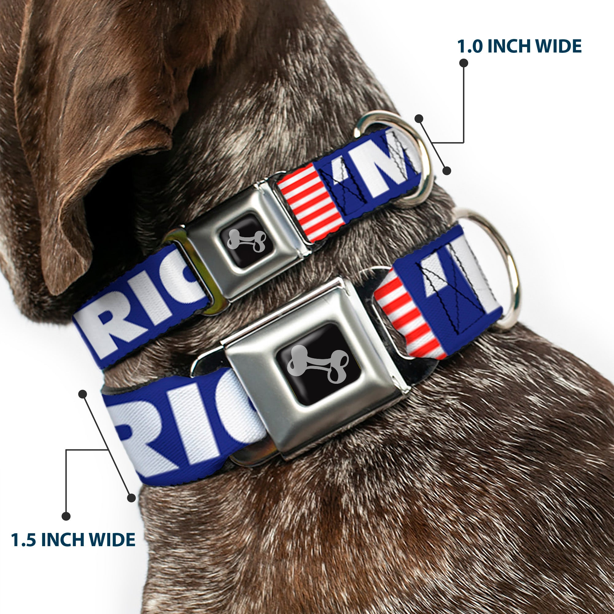 Dog Bone Seatbelt Buckle Collar - 'MERICA/US Flag Blue/White/Red Seatbelt Buckle Collars Buckle-Down