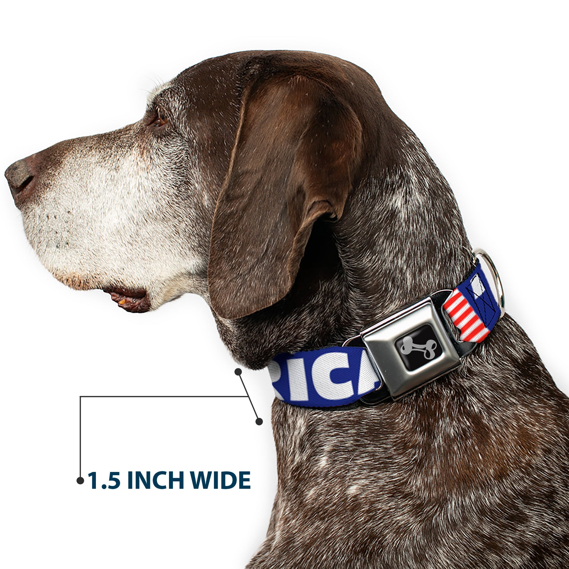 Dog Bone Seatbelt Buckle Collar - 'MERICA/US Flag Blue/White/Red Seatbelt Buckle Collars Buckle-Down