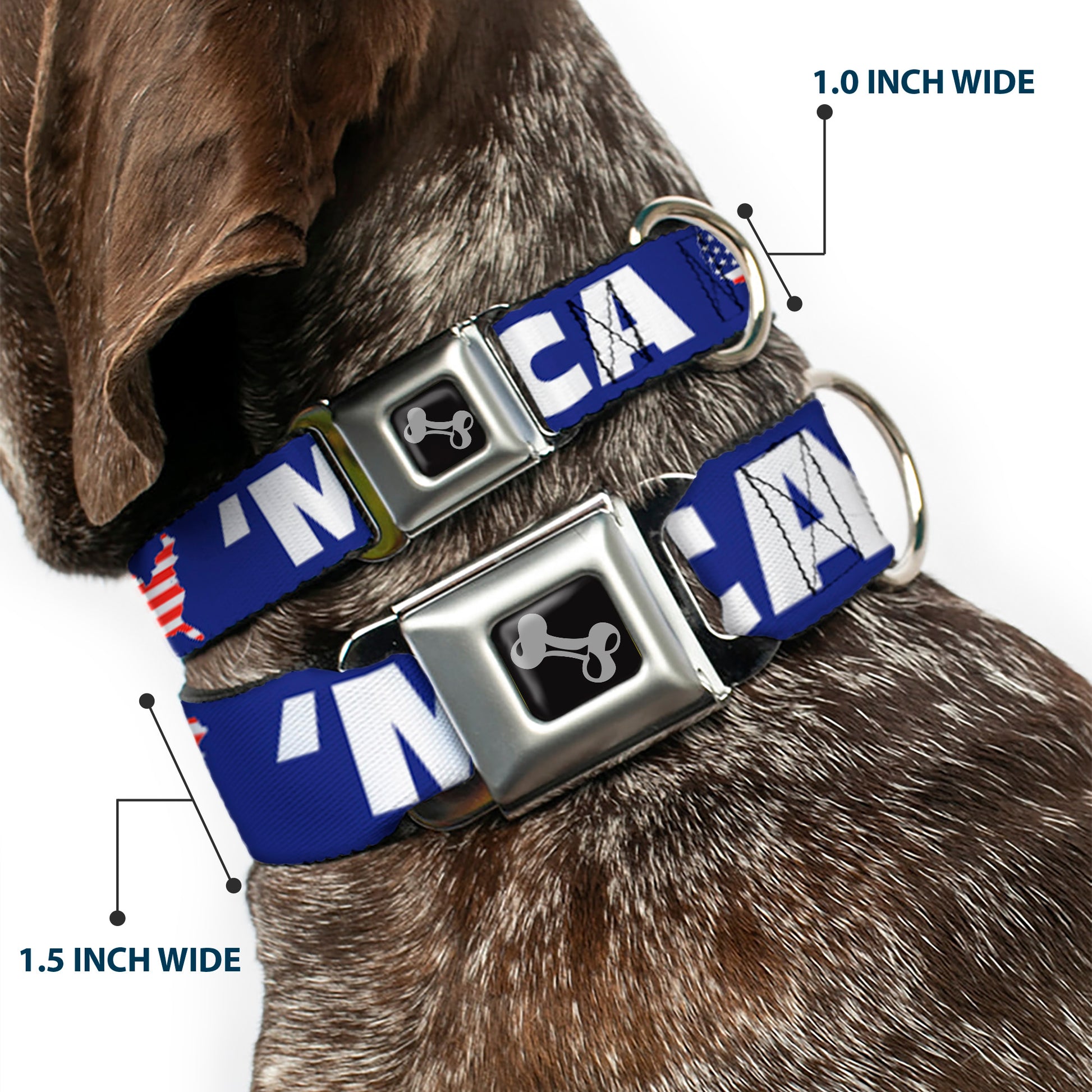 Dog Bone Seatbelt Buckle Collar - 'MERICA/USA Silhouette Blue/White/US Flag Seatbelt Buckle Collars Buckle-Down