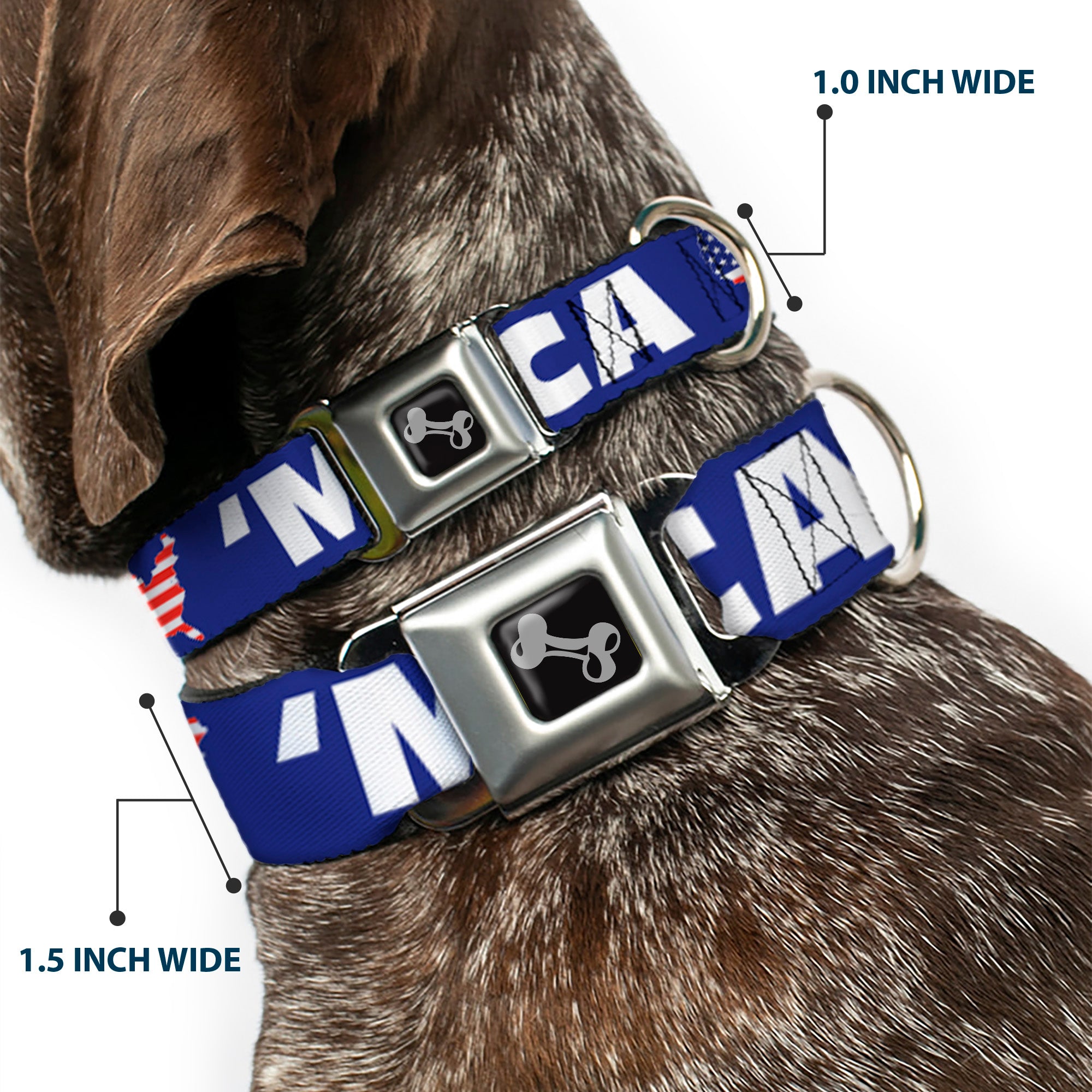 Dog Bone Seatbelt Buckle Collar - 'MERICA/USA Silhouette Blue/White/US Flag Seatbelt Buckle Collars Buckle-Down