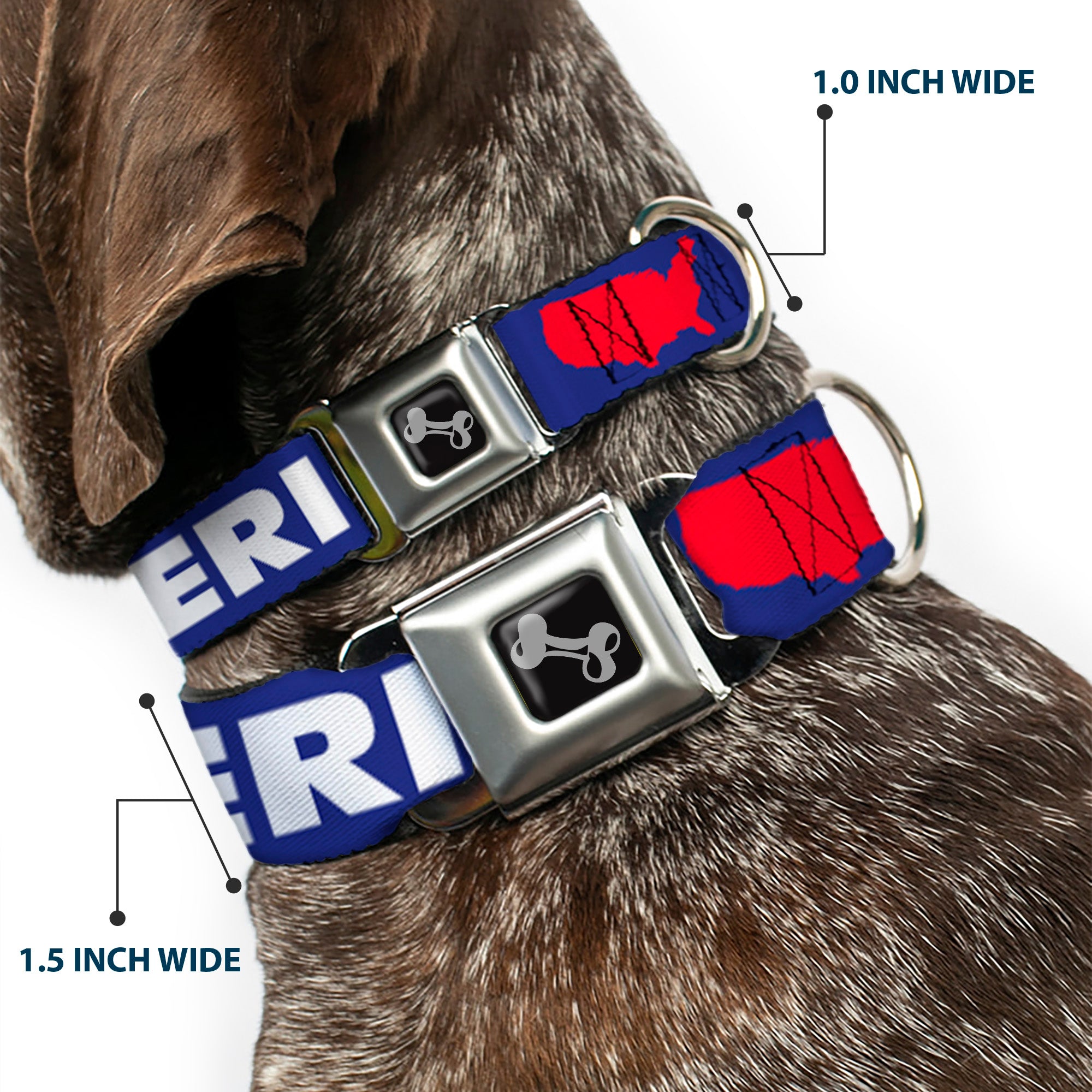 Dog Bone Seatbelt Buckle Collar - 'MERICA/USA Silhouette Blue/White/Red Seatbelt Buckle Collars Buckle-Down
