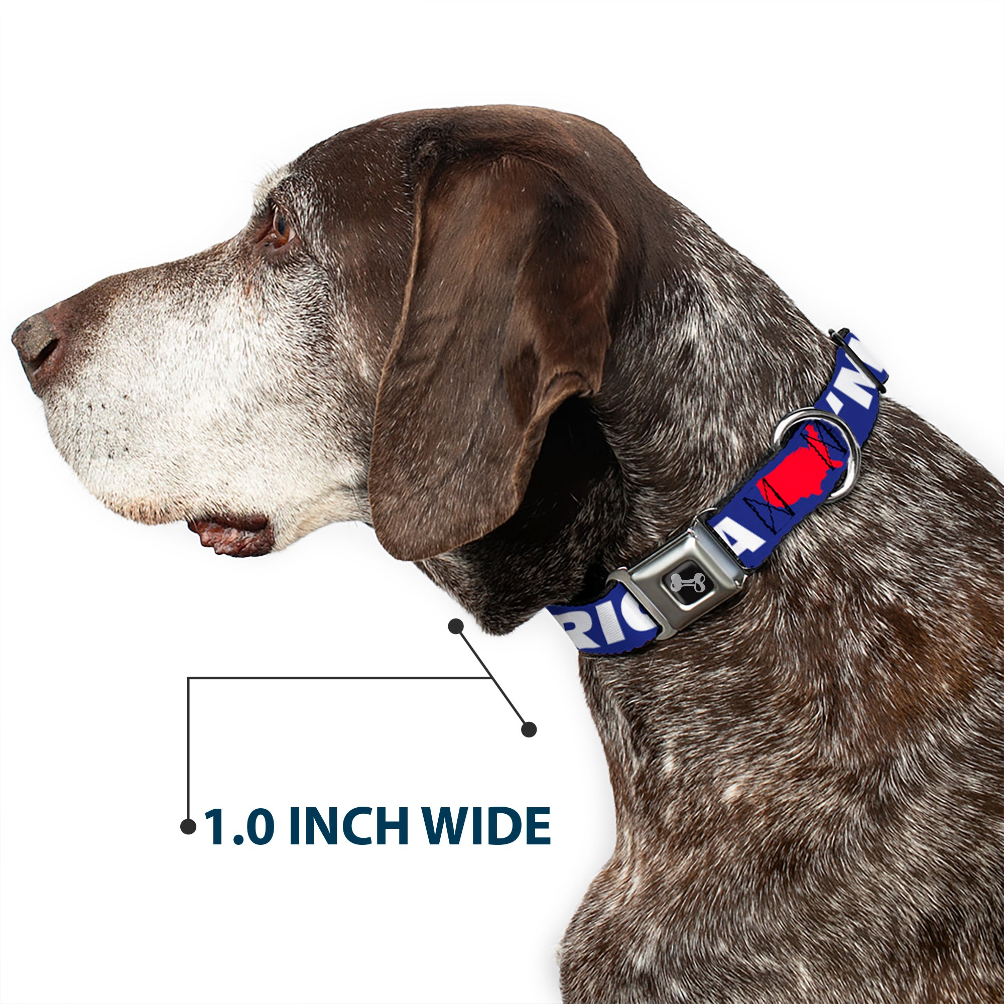 Dog Bone Seatbelt Buckle Collar - 'MERICA/USA Silhouette Blue/White/Red Seatbelt Buckle Collars Buckle-Down